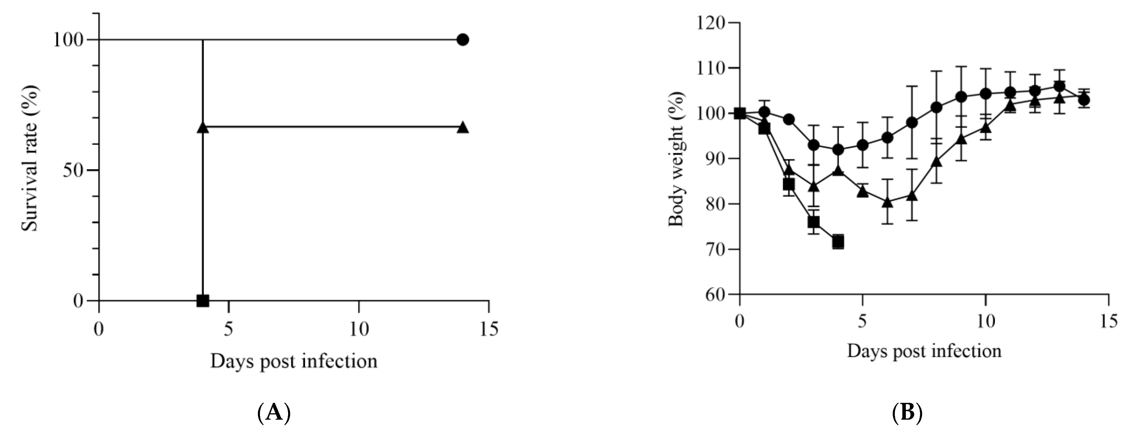 Viruses 14 01668 g001a