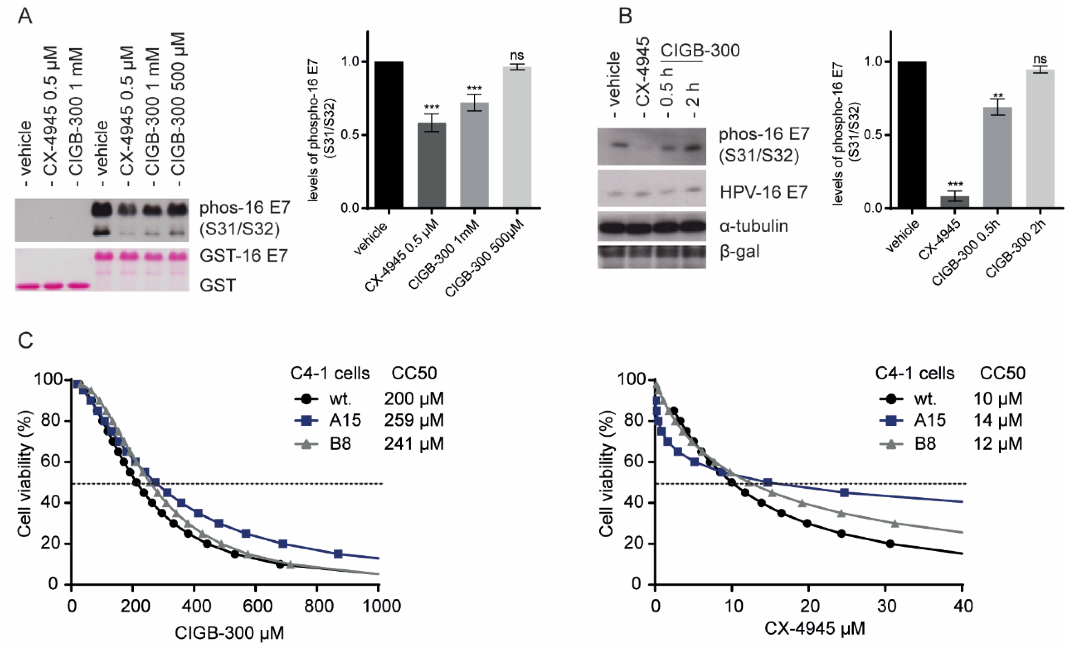 Viruses 14 01681 g003