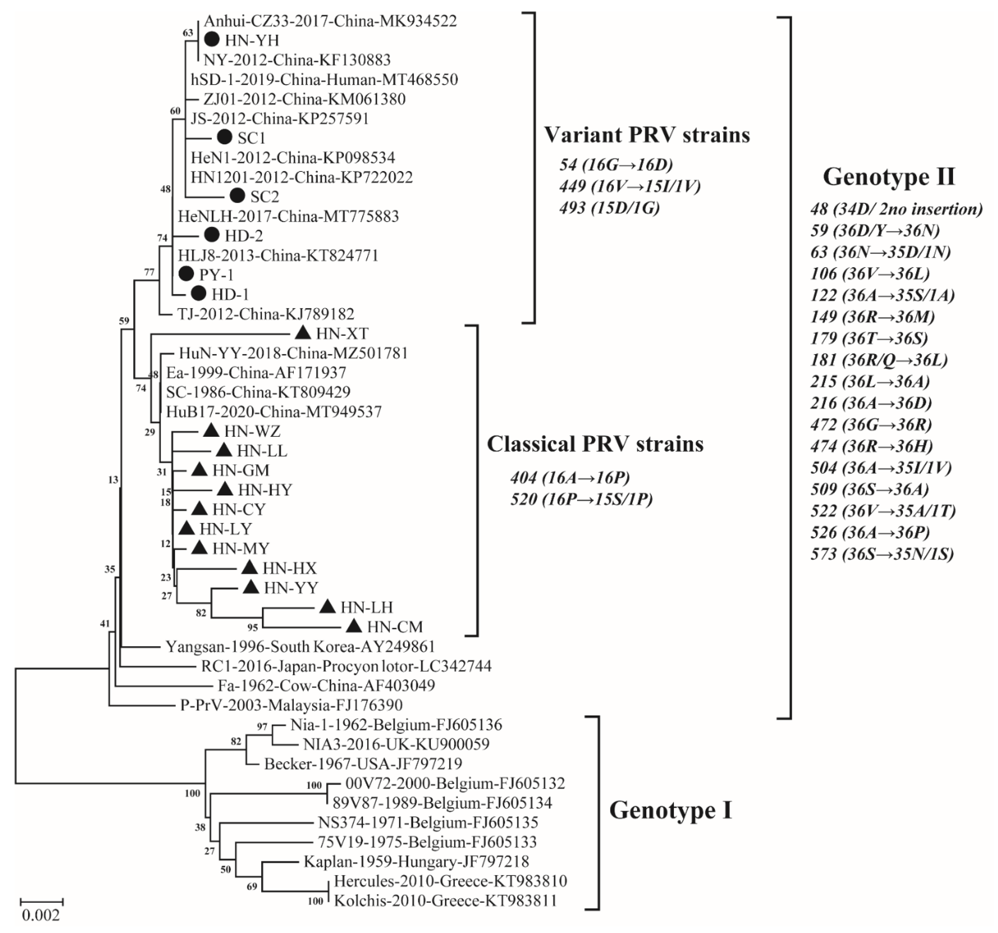 Viruses 14 01685 g003