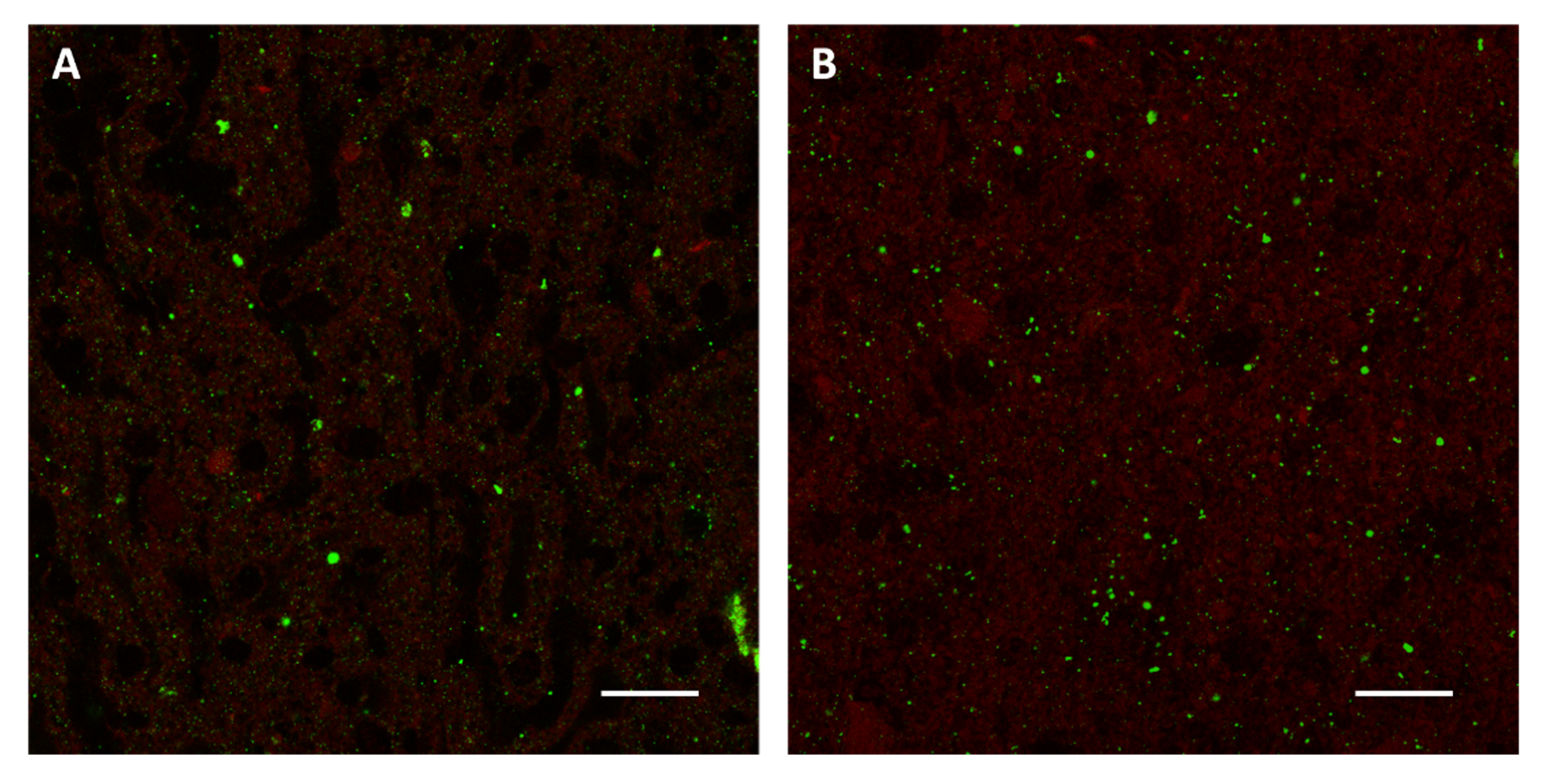 Viruses 14 01698 g002
