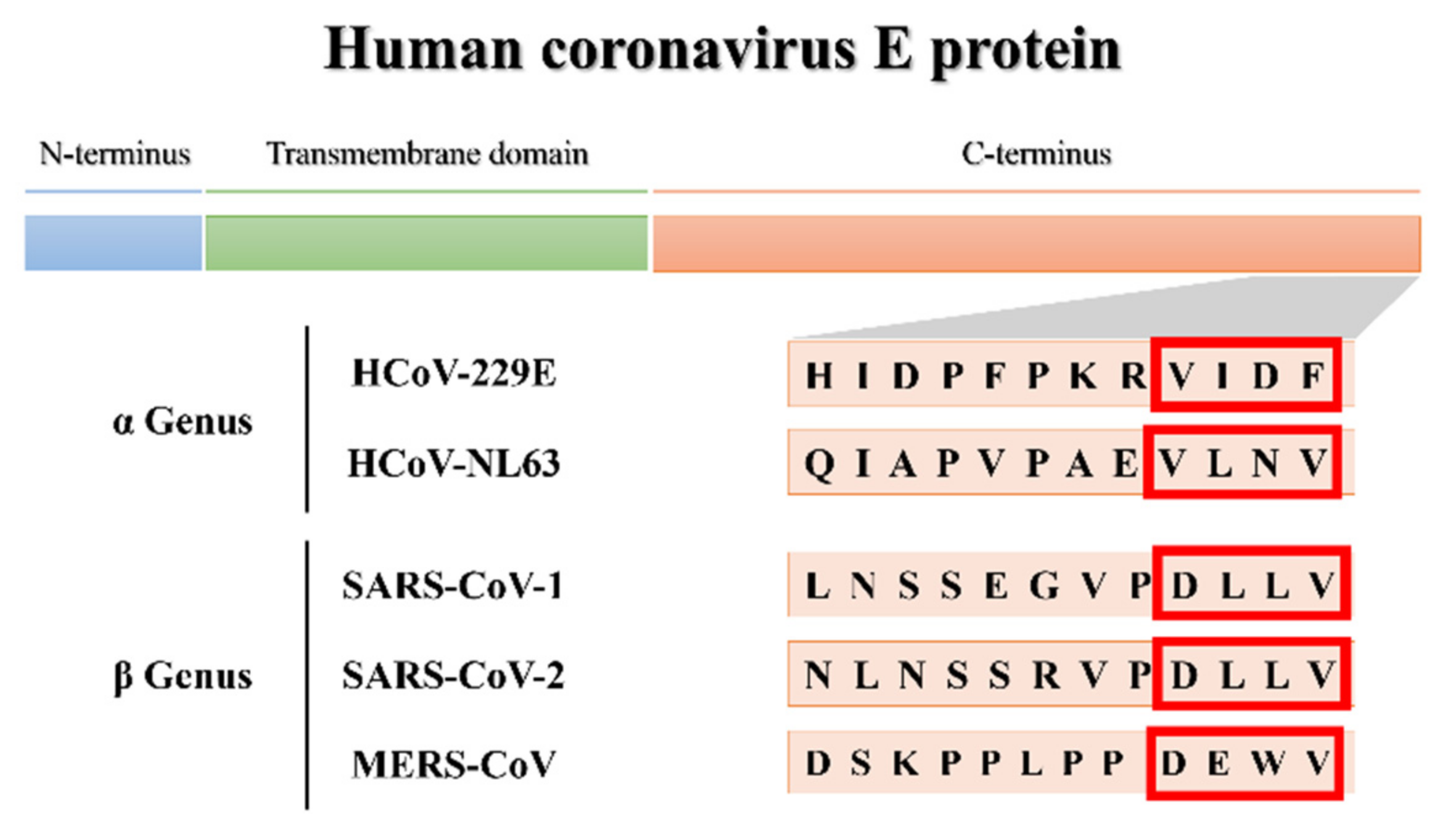 Viruses 14 01707 g001