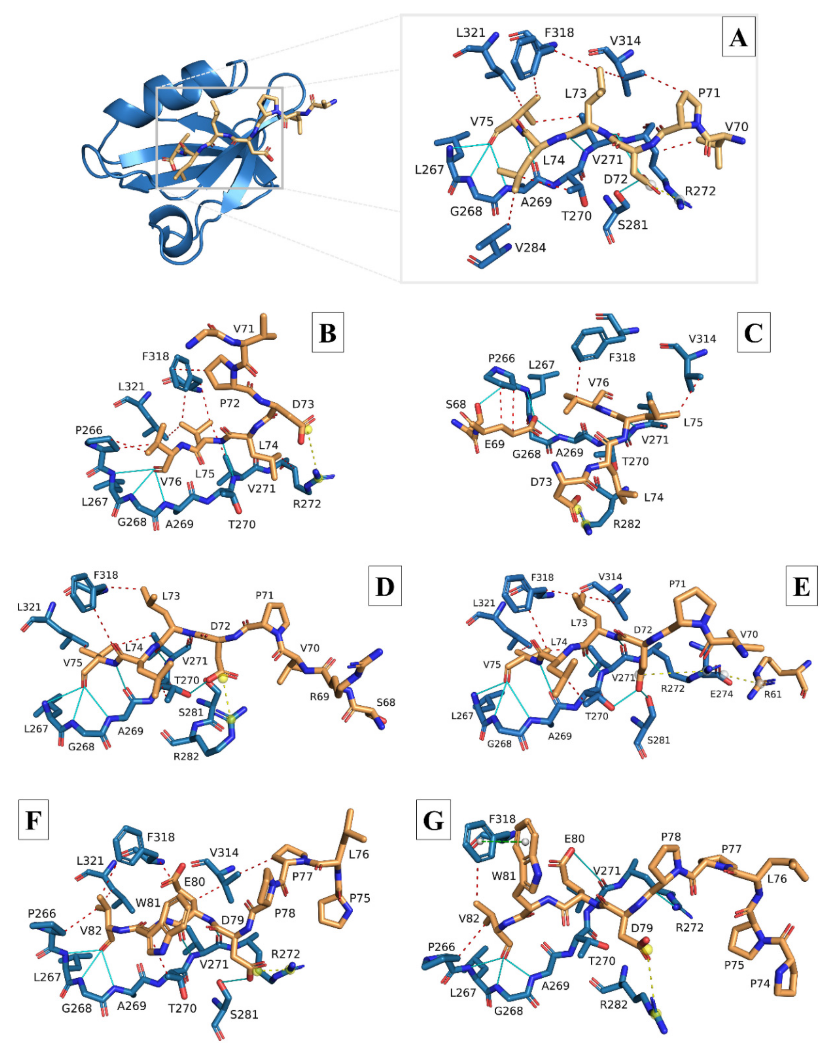 Viruses 14 01707 g004
