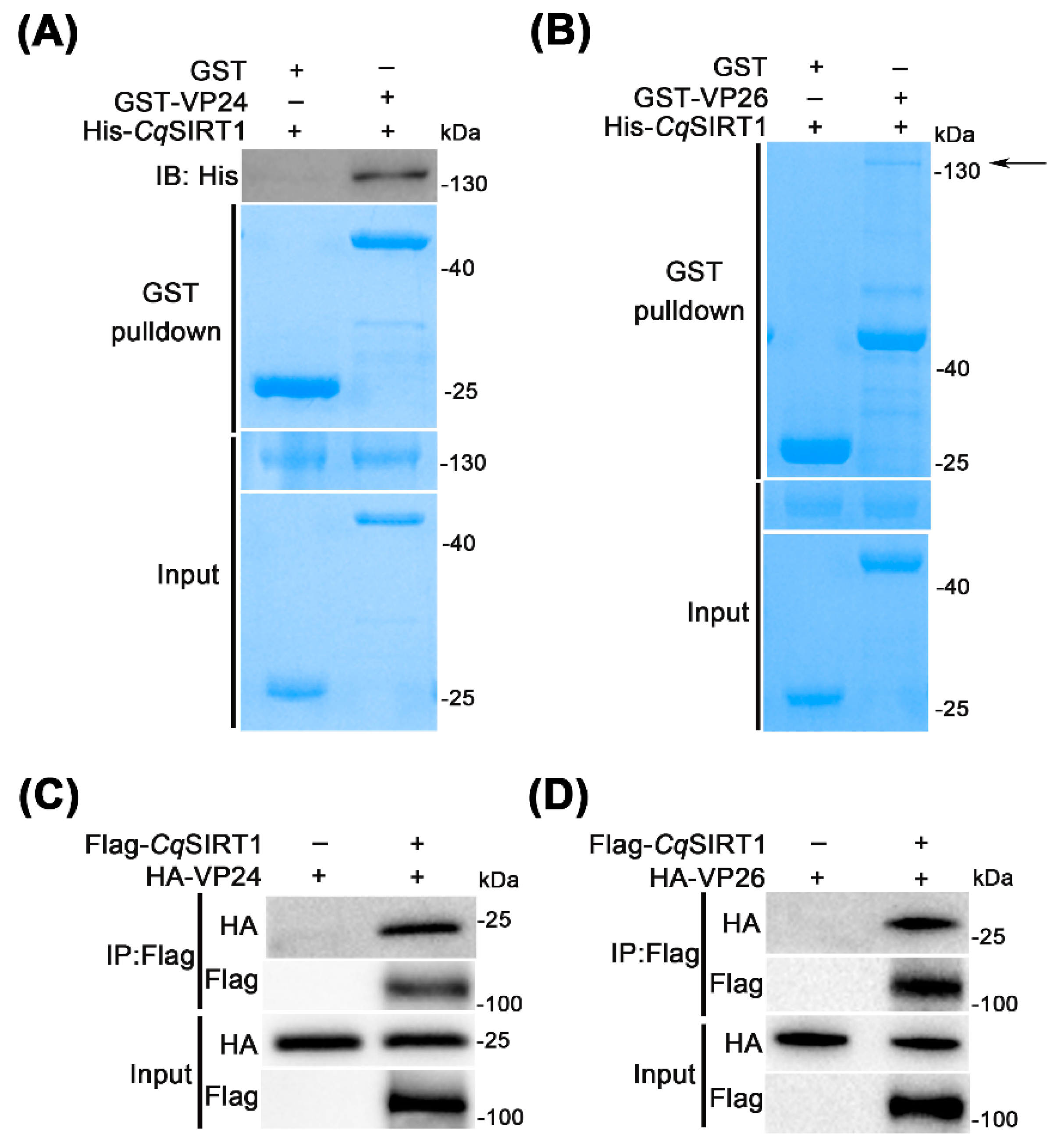 Viruses 14 01733 g006