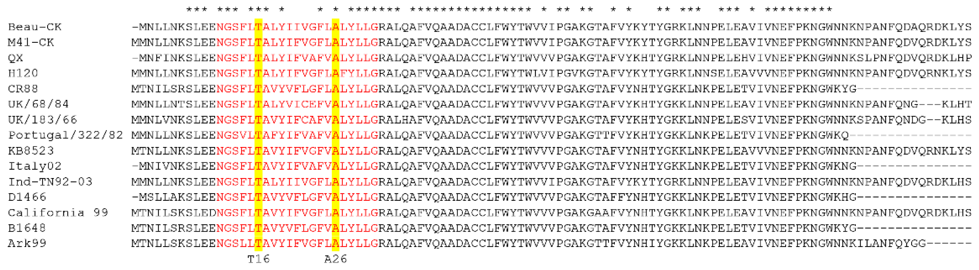 Viruses | Free Full-Text | The Genetic Stability, Replication Kinetics and  Cytopathogenicity of Recombinant Avian Coronaviruses with a T16A or an A26F  Mutation within the E Protein Is Cell-Type Dependent