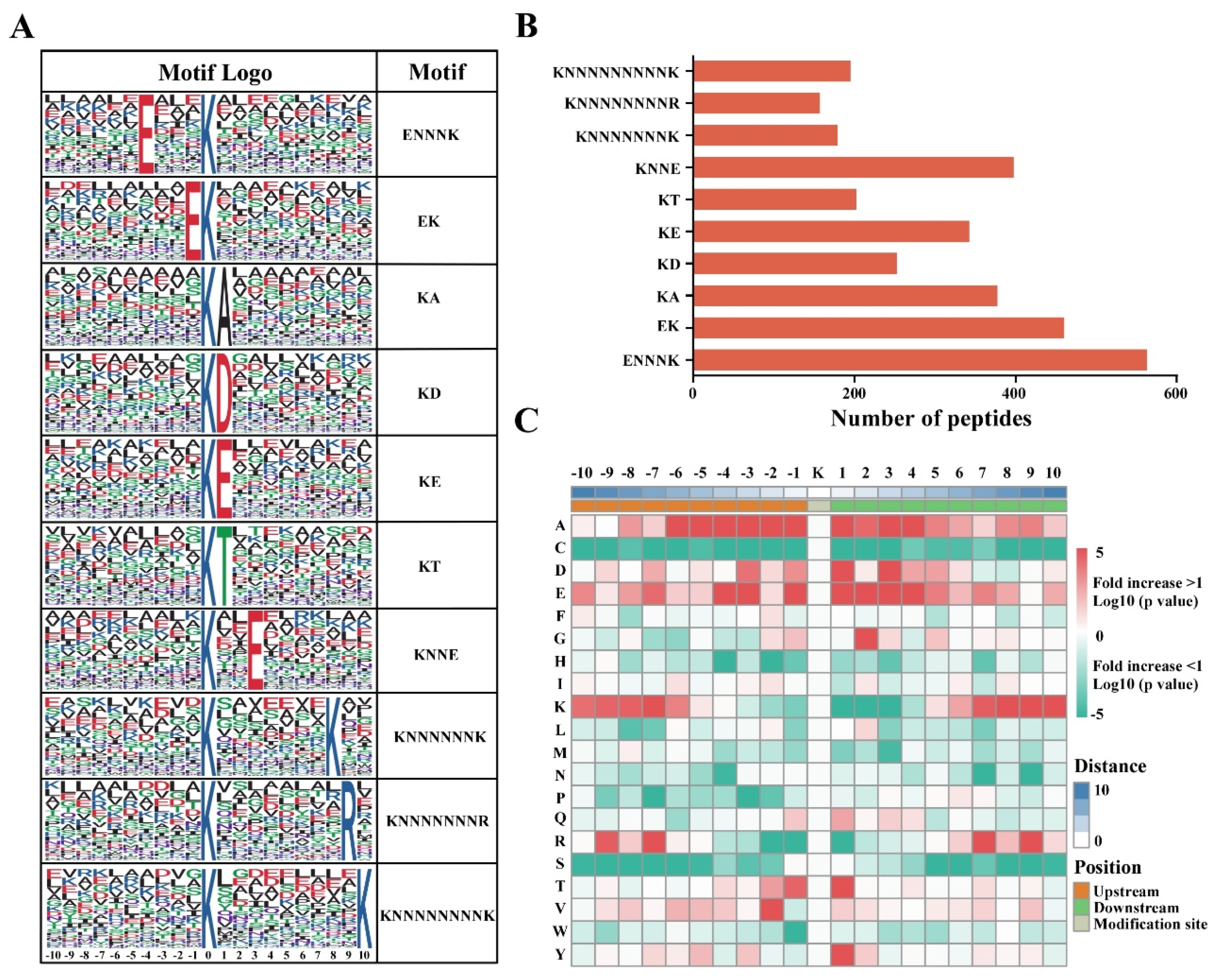 Viruses 14 01789 g003