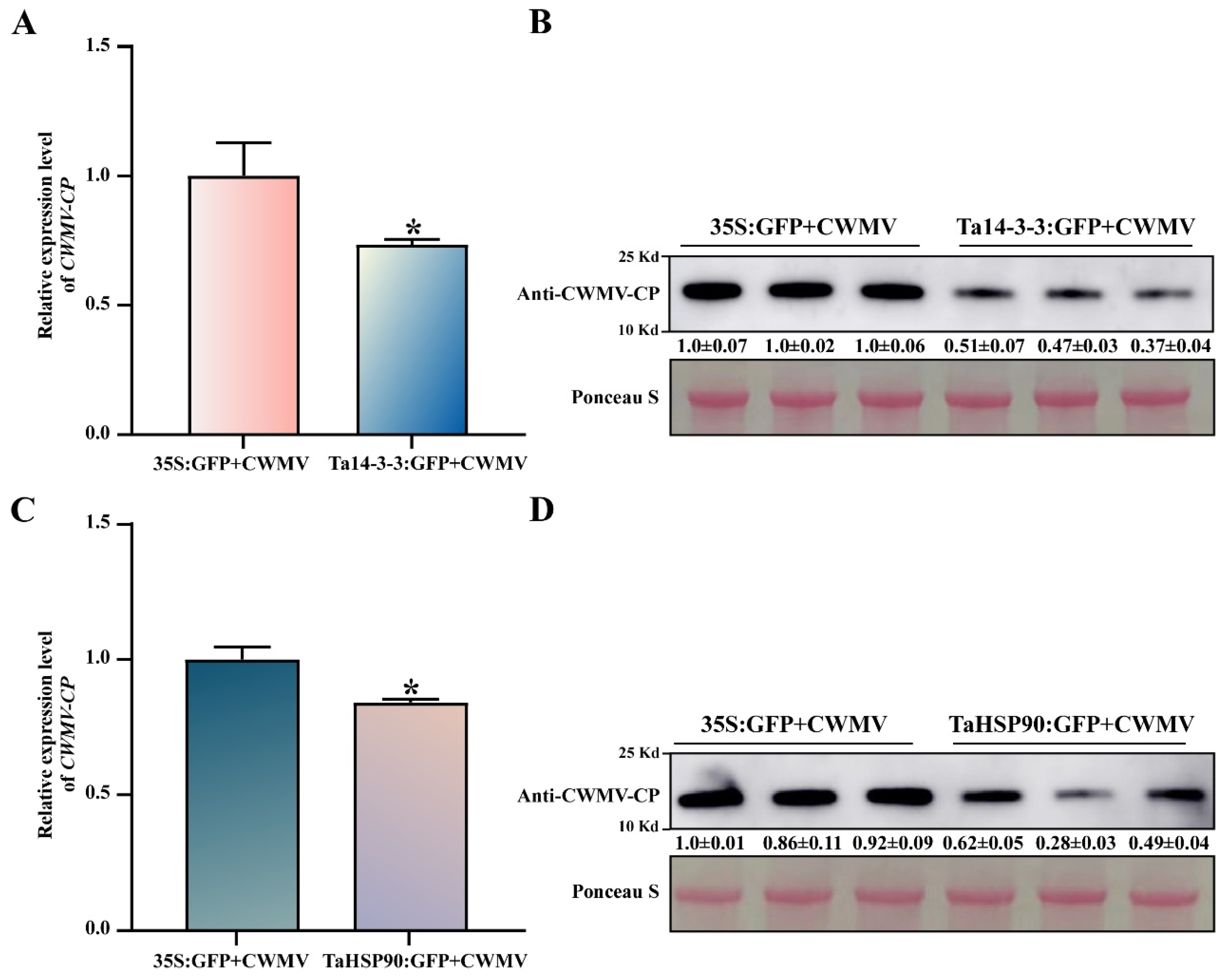 Viruses 14 01789 g007