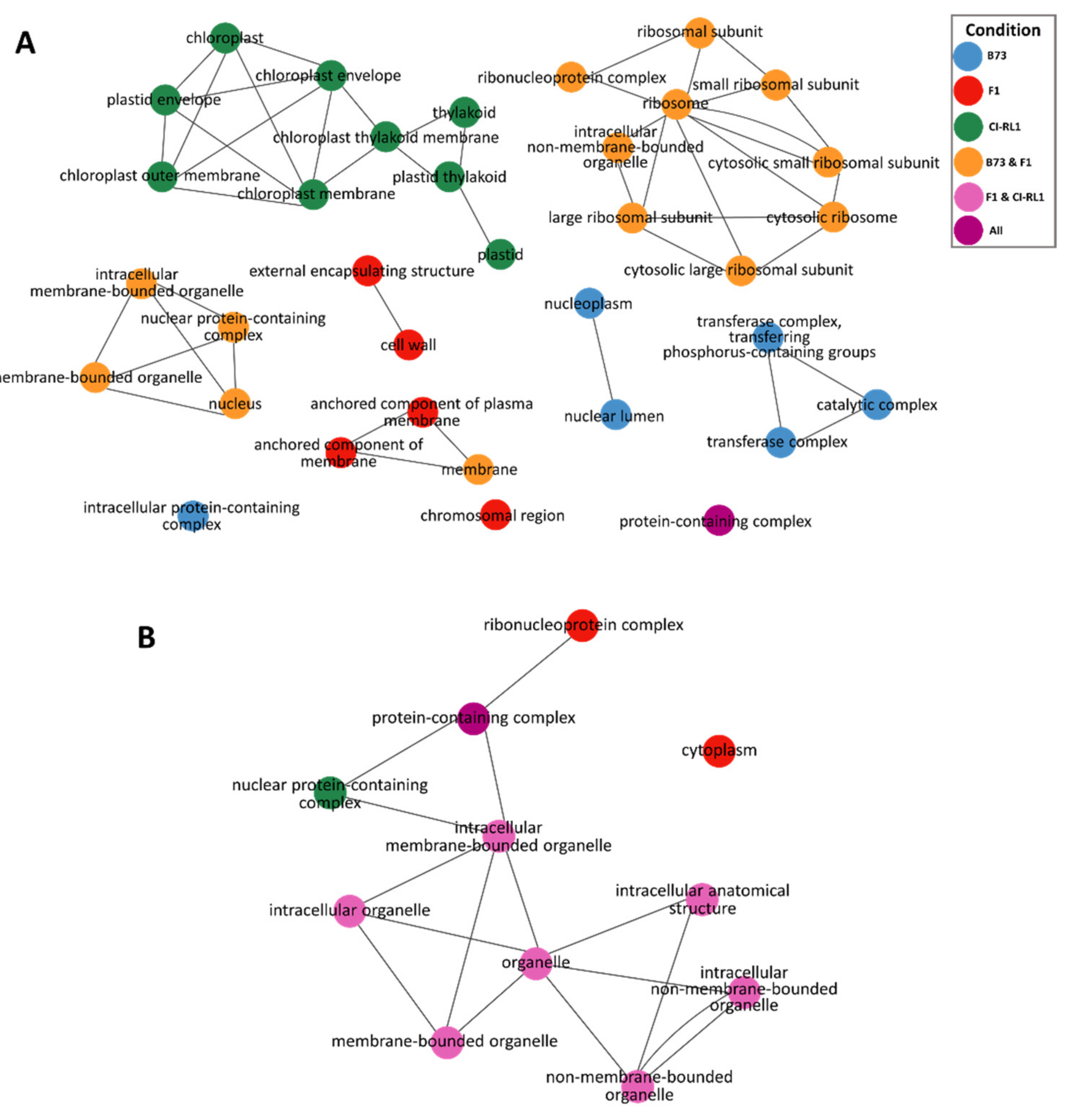 Viruses 14 01803 g004