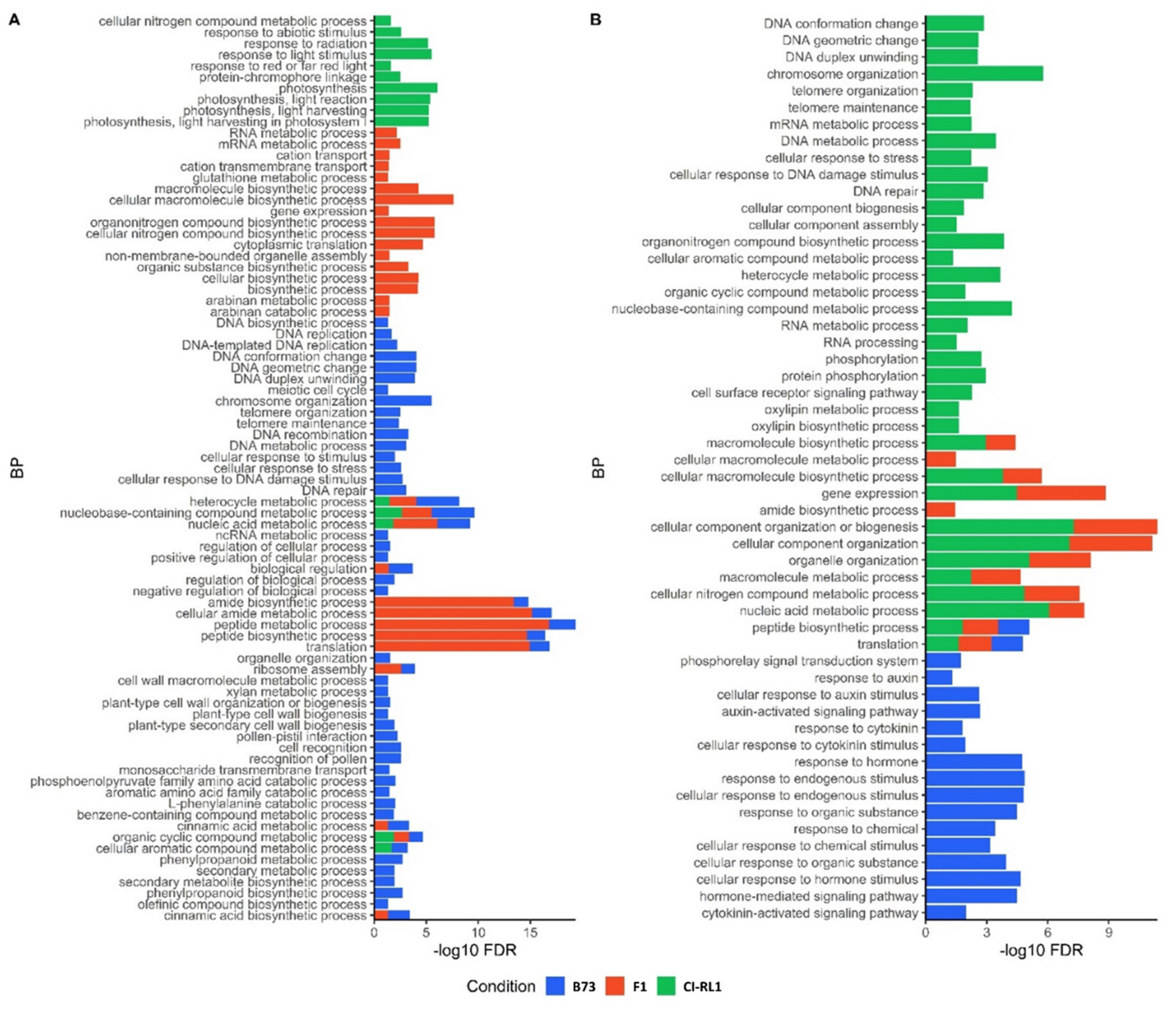 Viruses 14 01803 g005