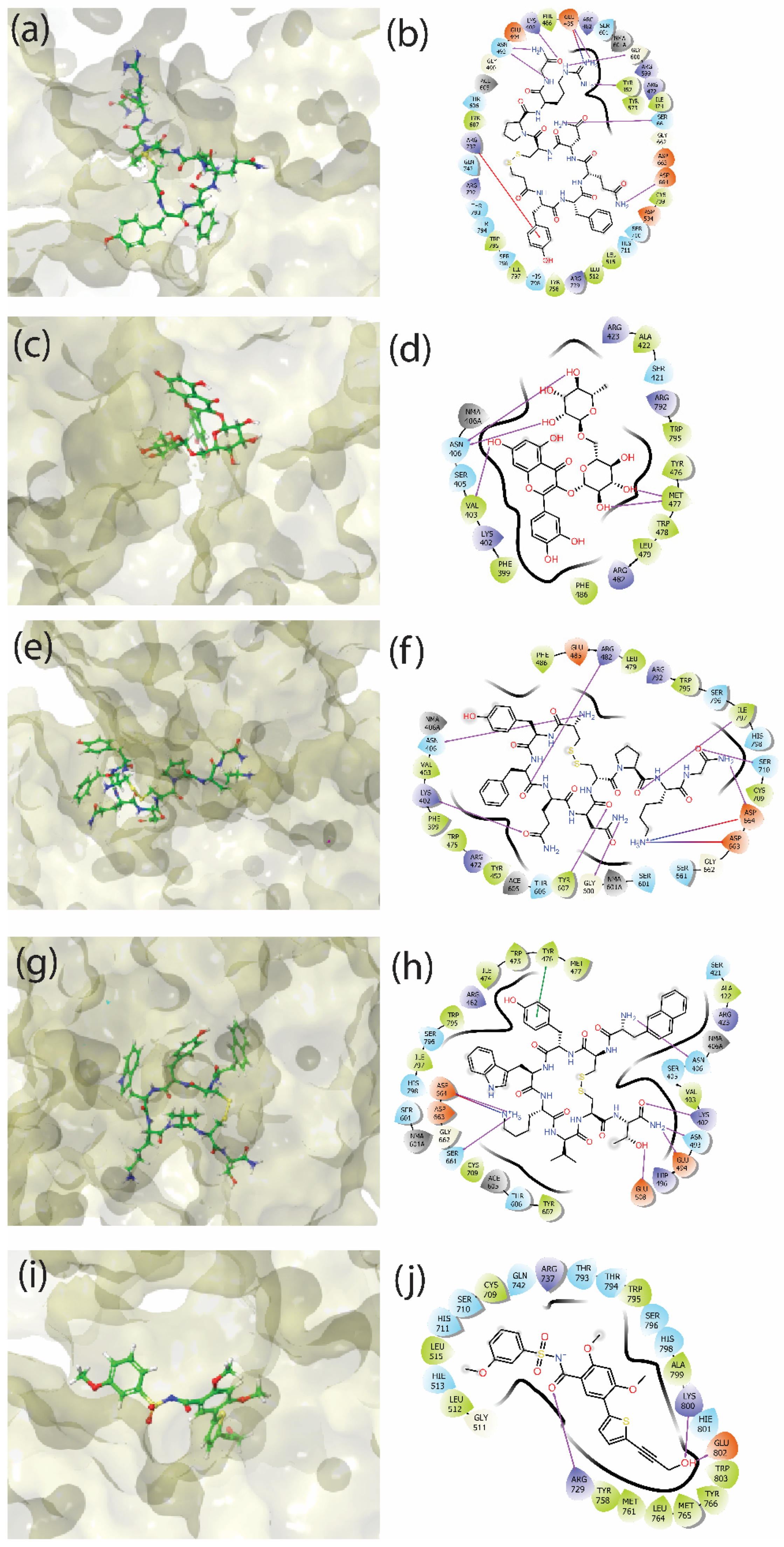 Viruses 14 01827 g004