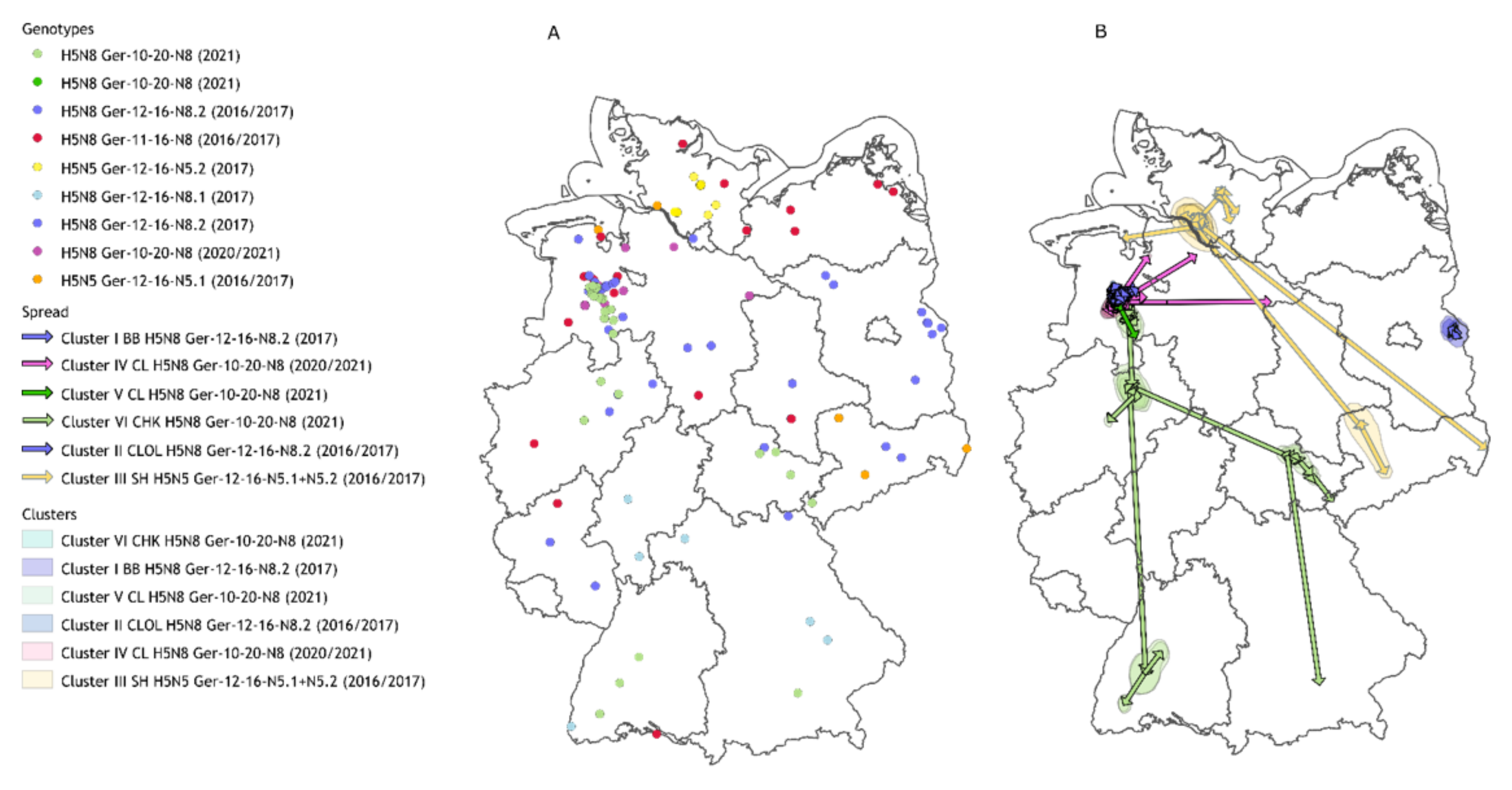 Viruses 14 01849 g001
