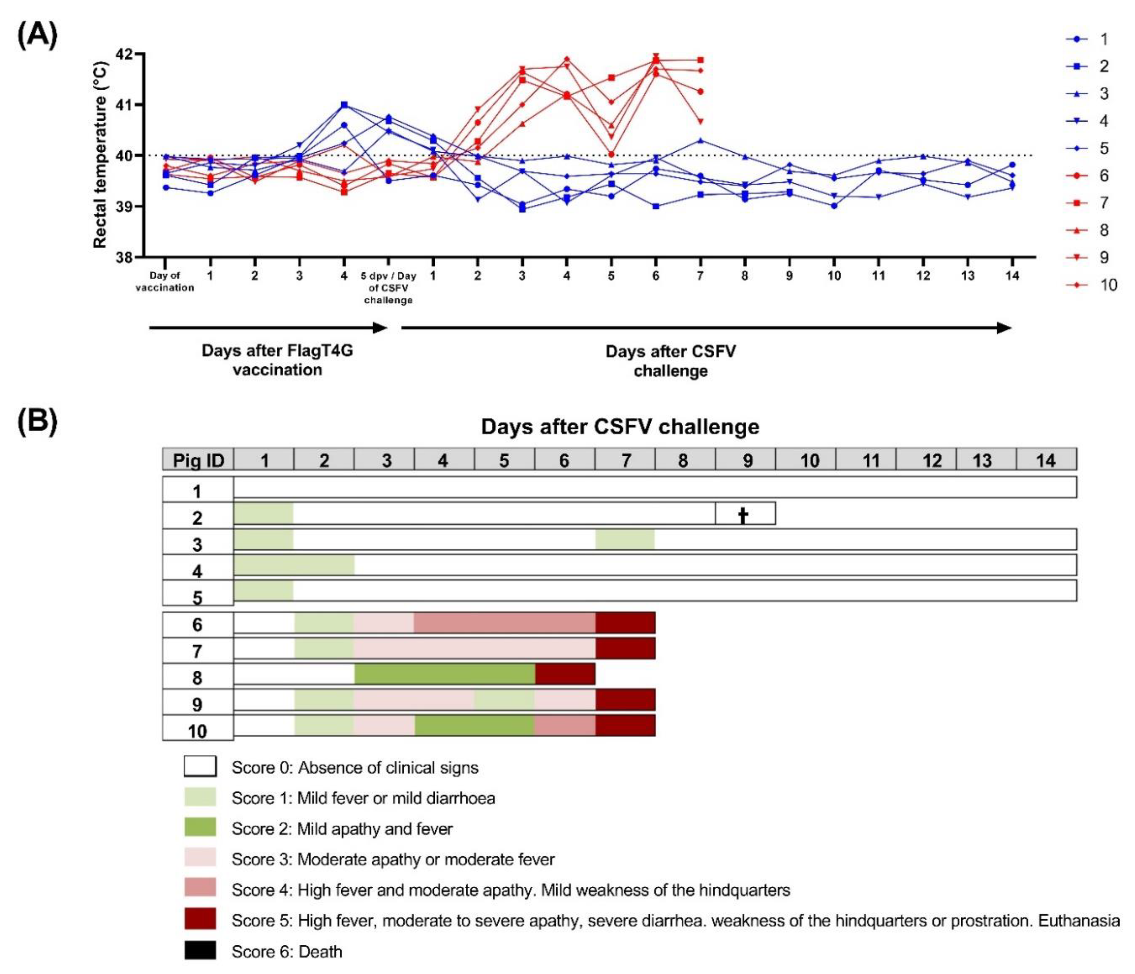 Viruses 14 01954 g001