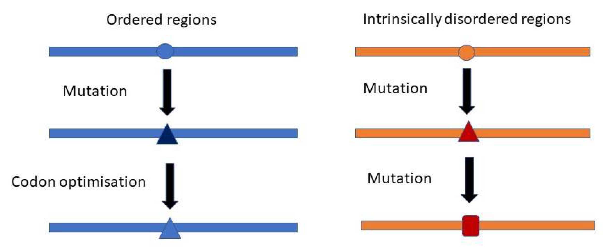 Viruses 14 01959 g004