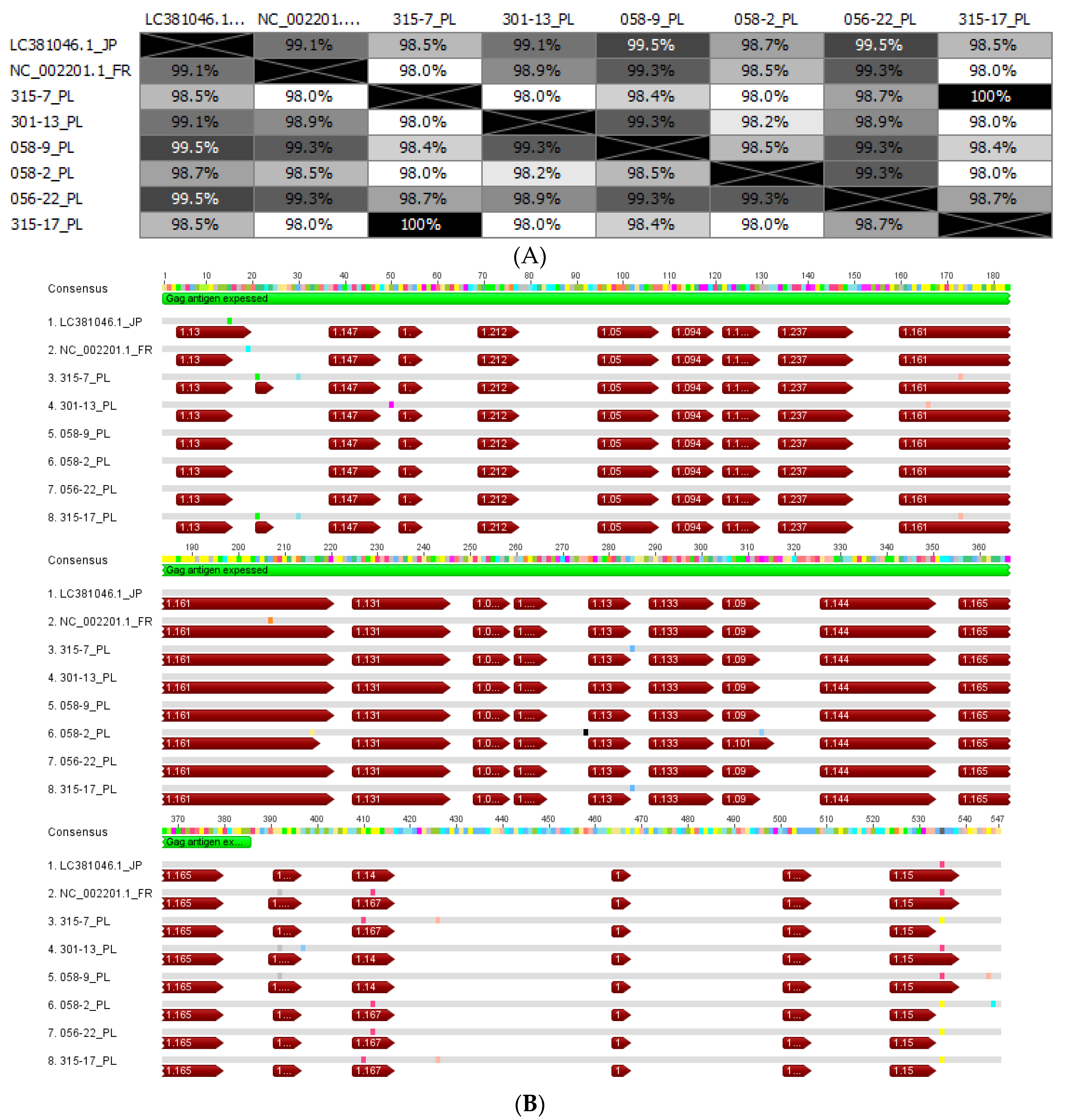 Viruses 14 01973 g002