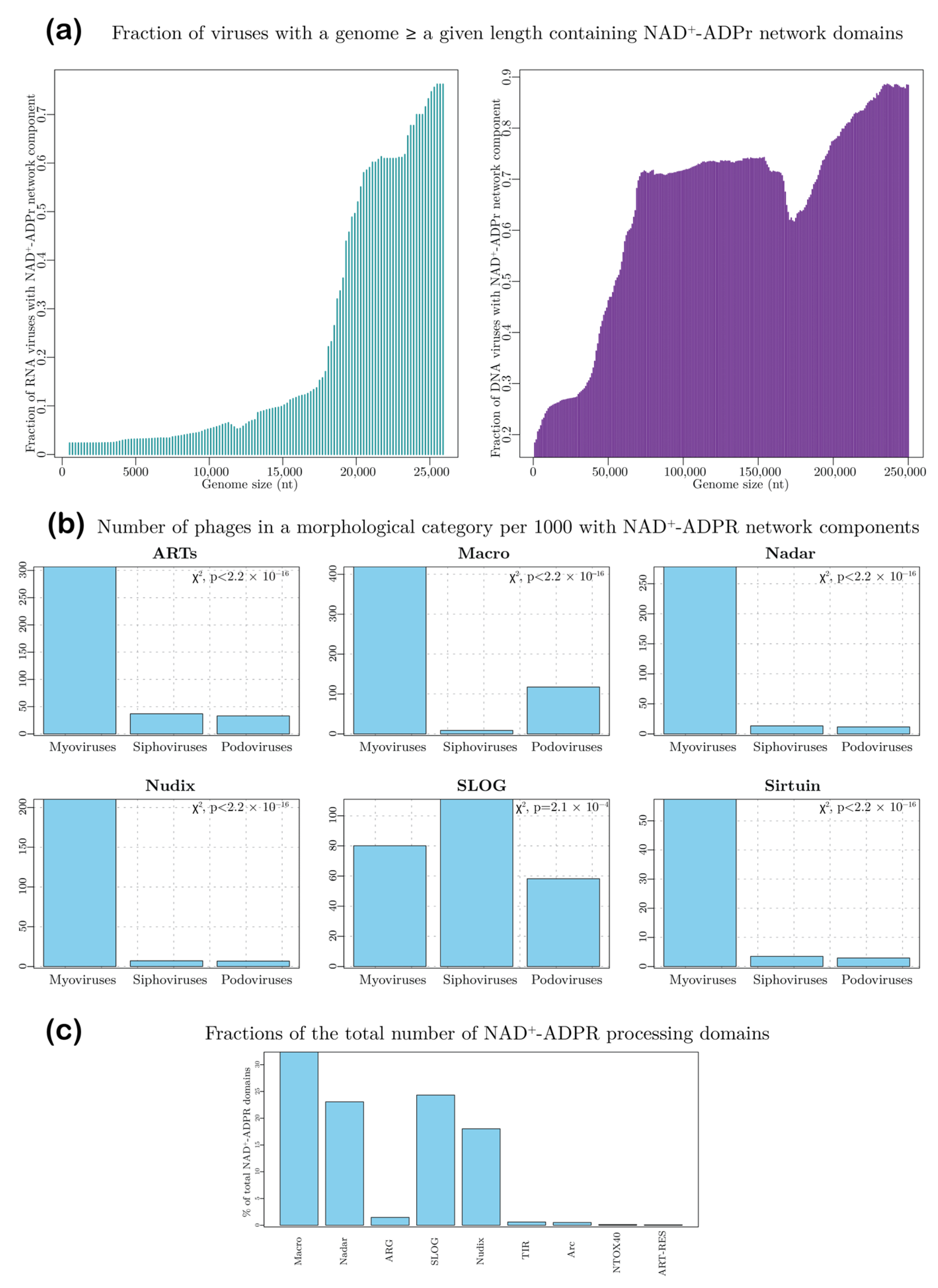 Viruses 14 01977 g002 Viruses 14 01977 g002