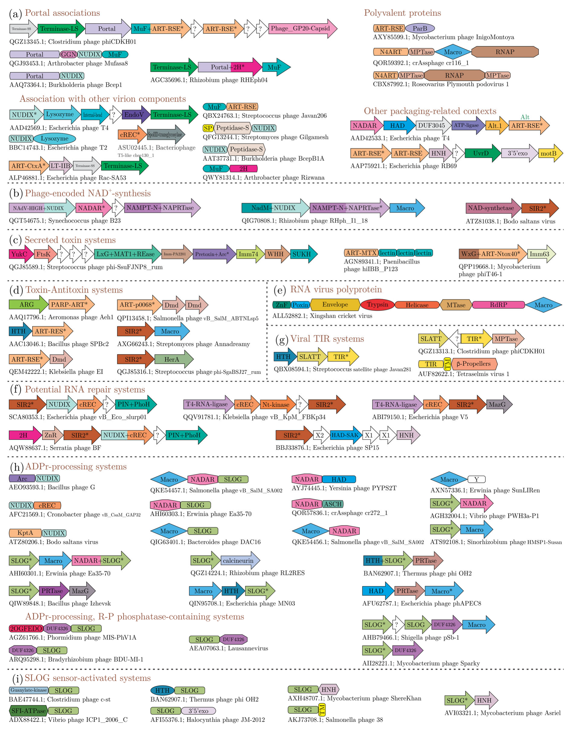 Viruses 14 01977 g005 Viruses 14 01977 g005