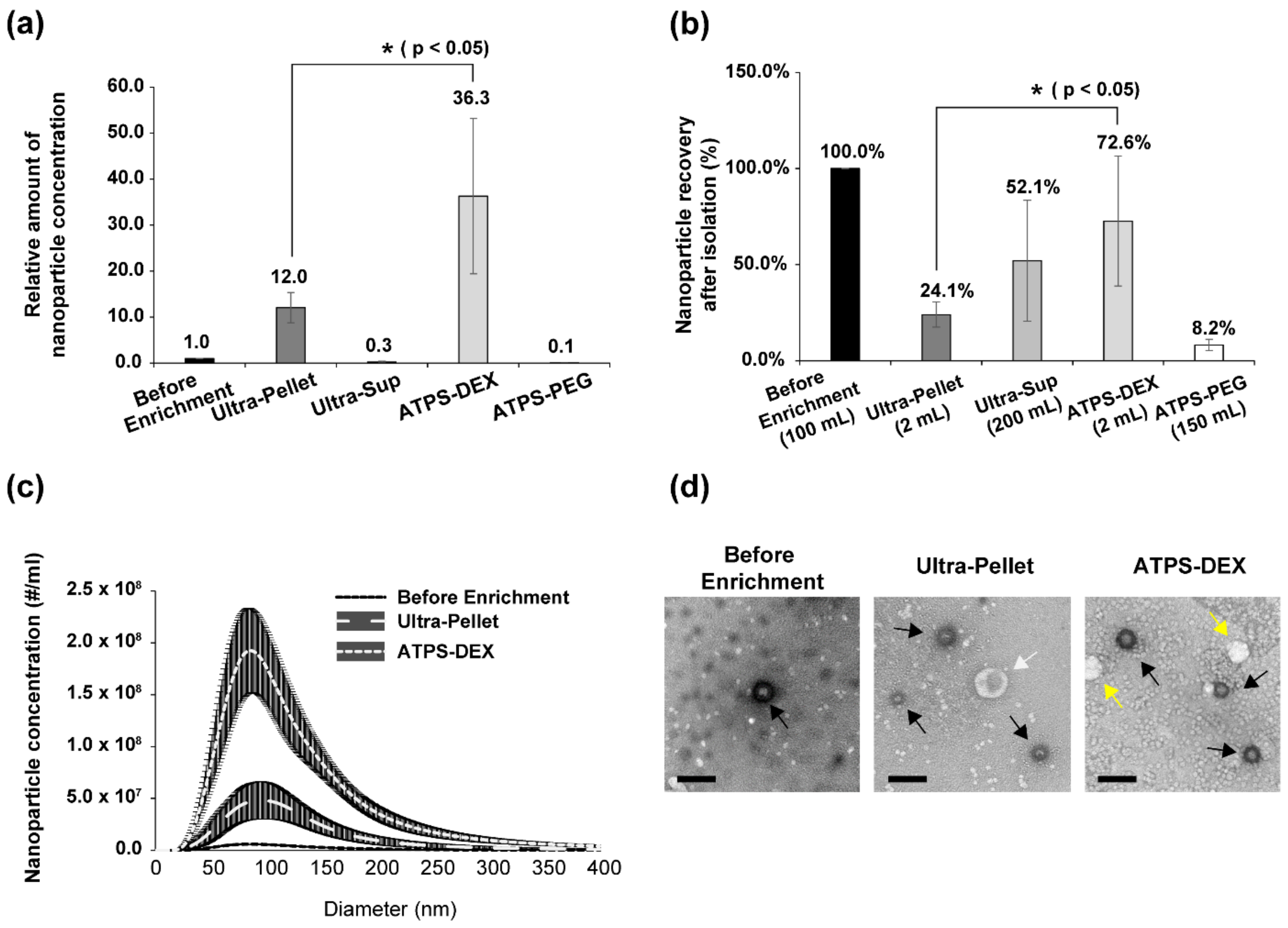 Viruses 14 01987 g002