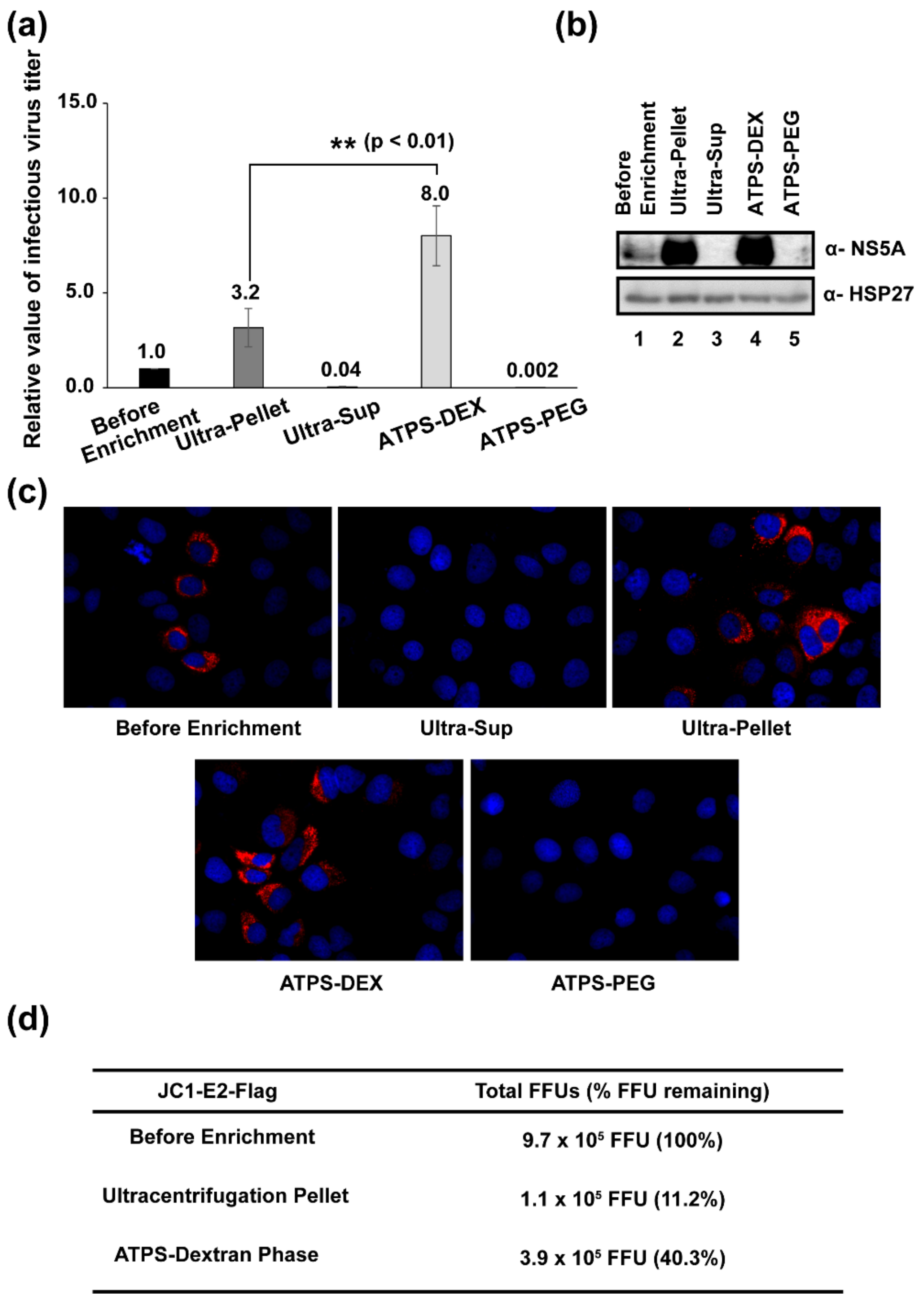 Viruses 14 01987 g004