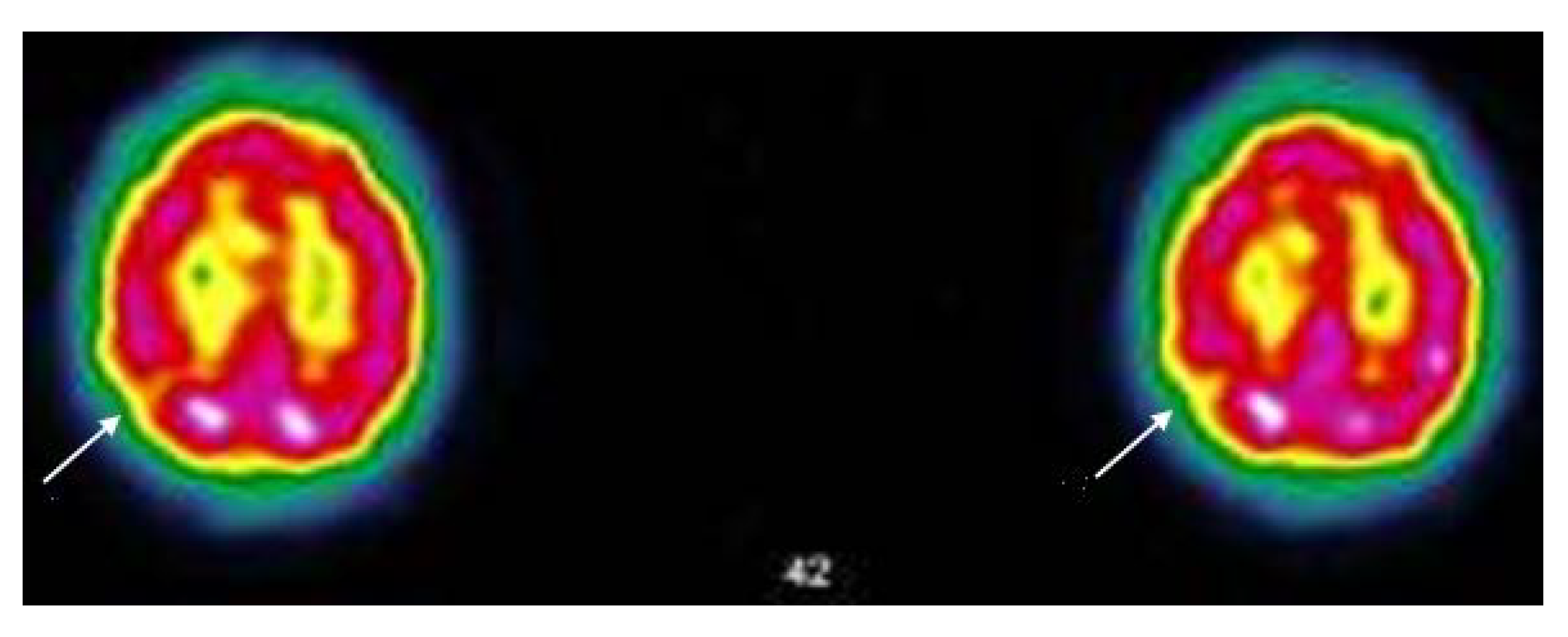 Viruses 14 02000 g005 Viruses 14 02000 g005