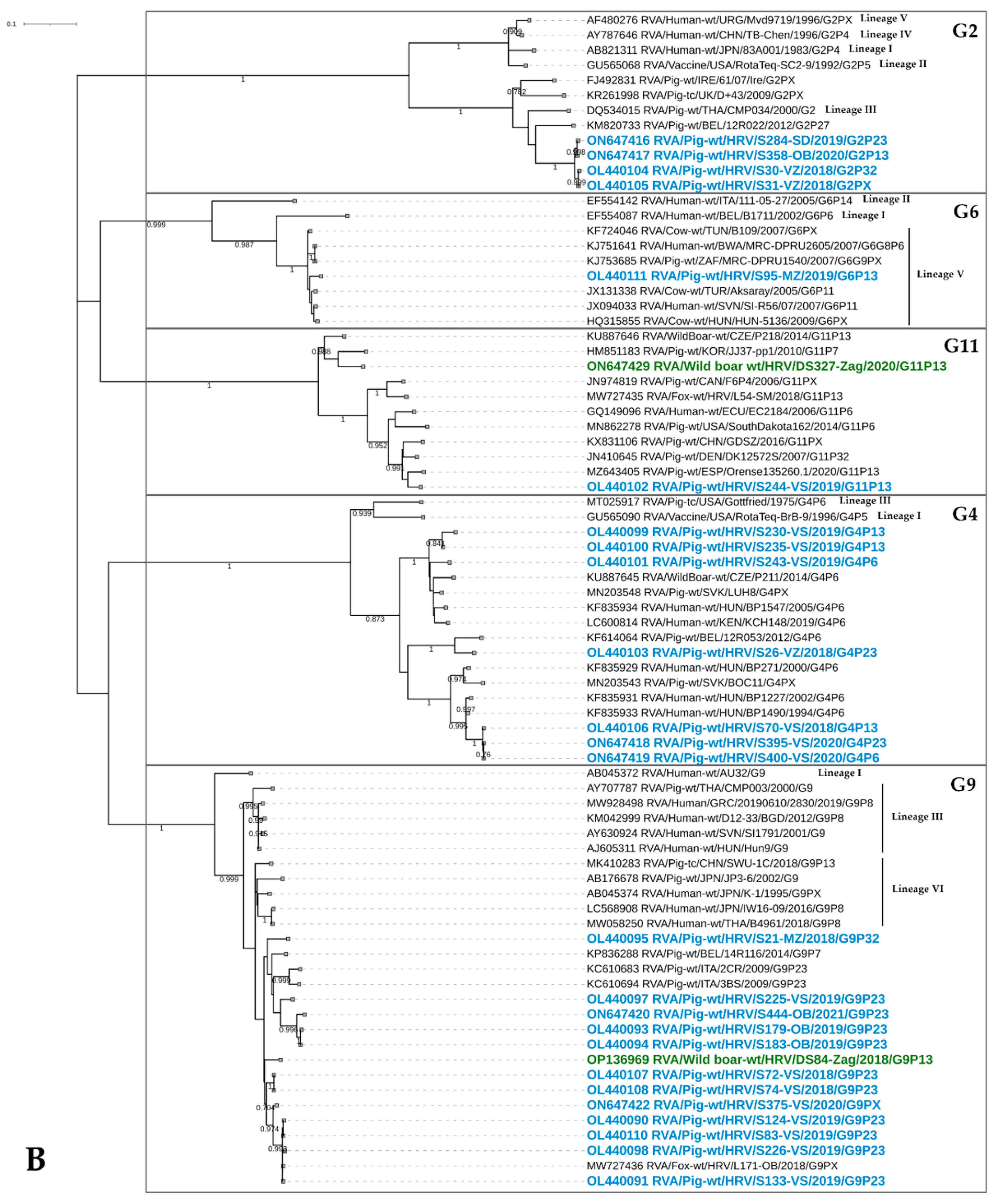 Viruses 14 02028 g003b