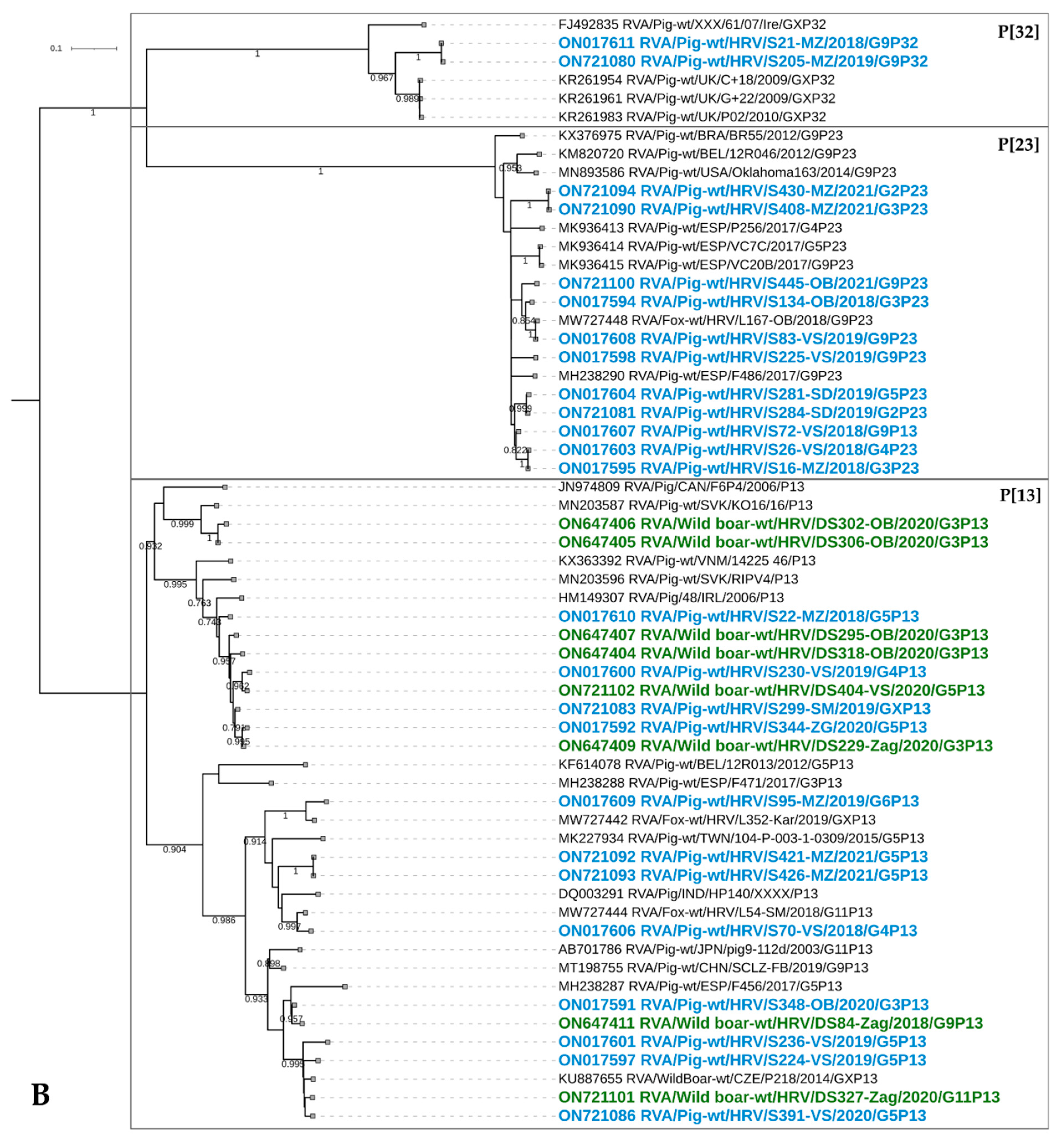 Viruses 14 02028 g004b