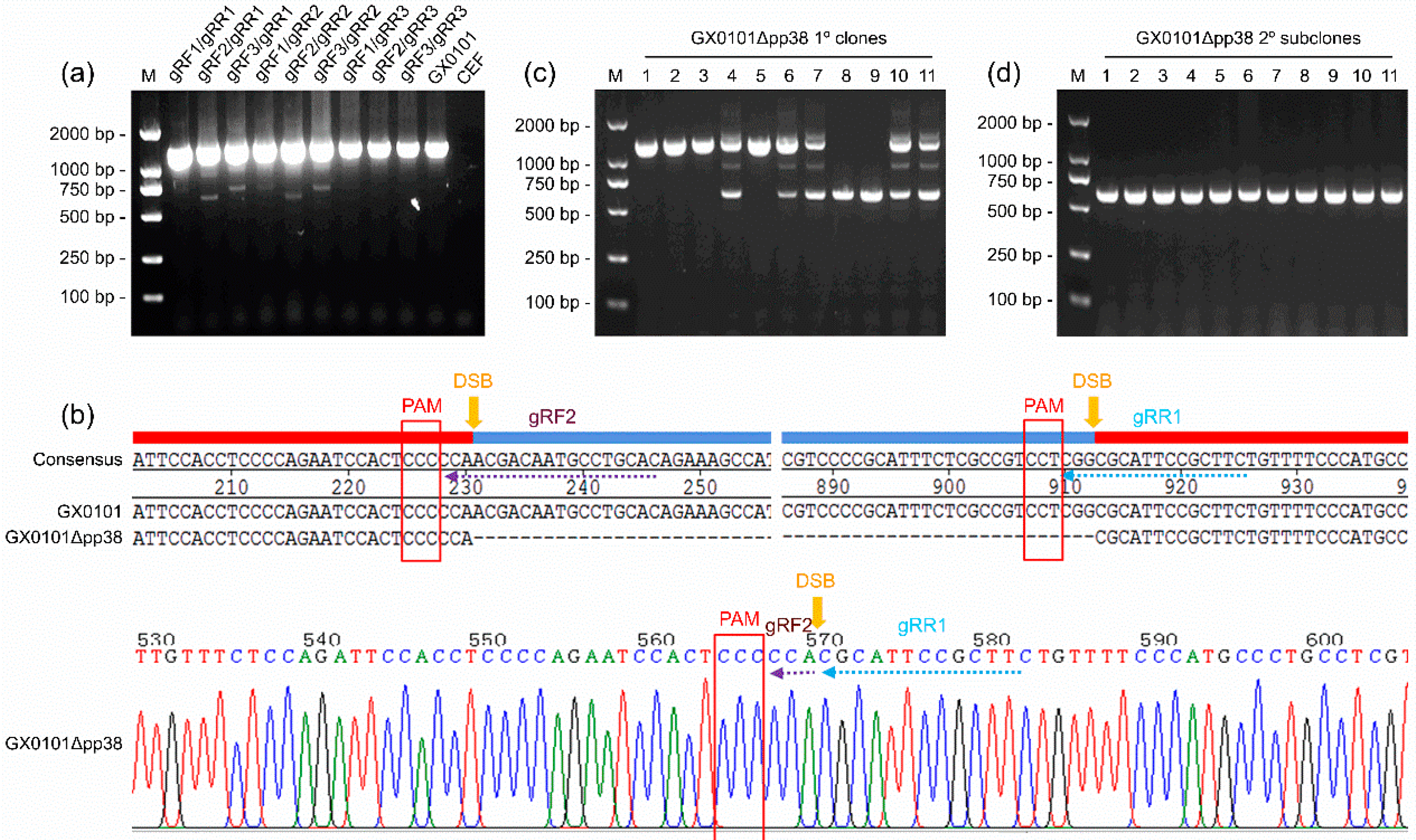 Viruses 14 02045 g001