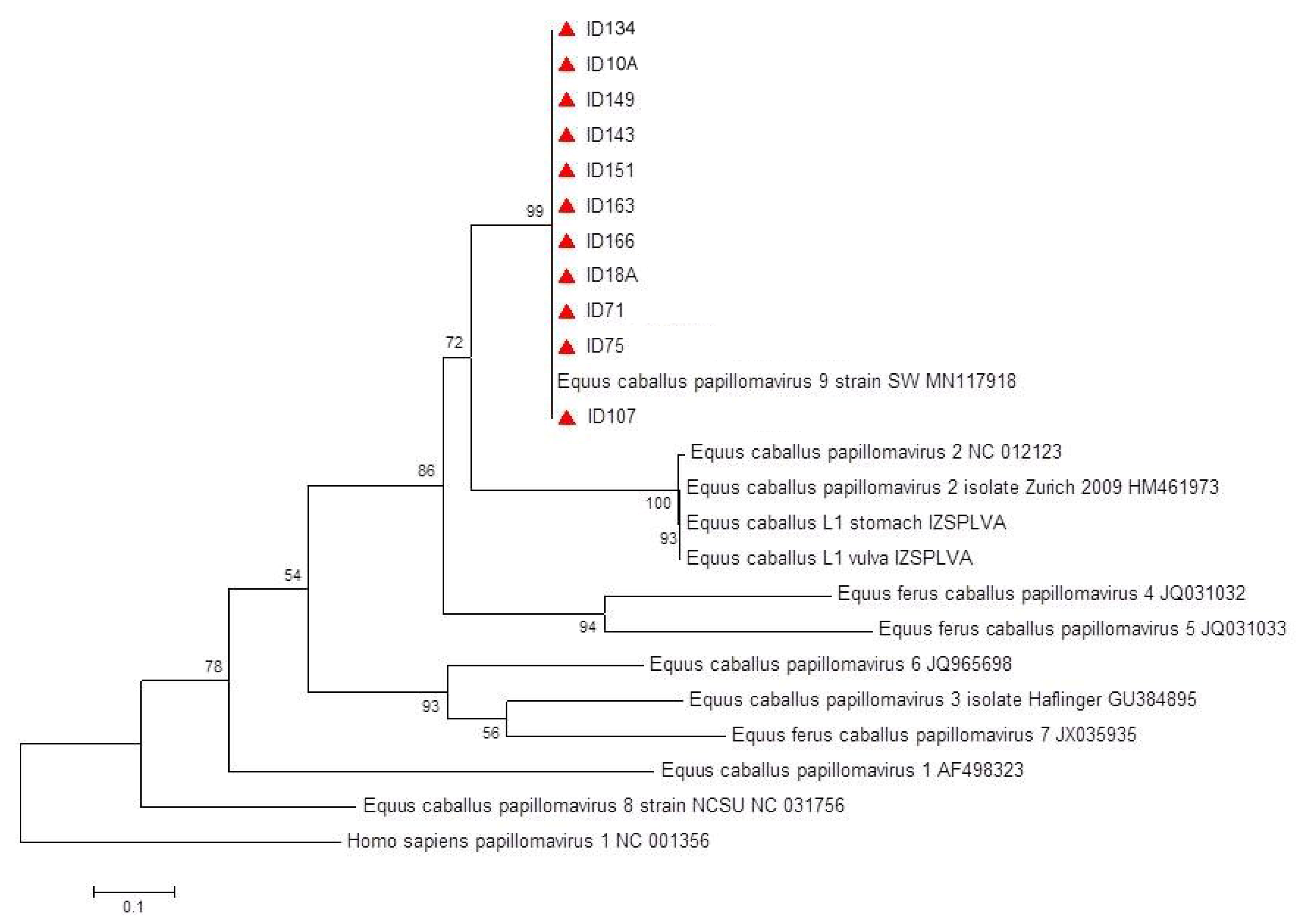 Viruses 14 02050 g001