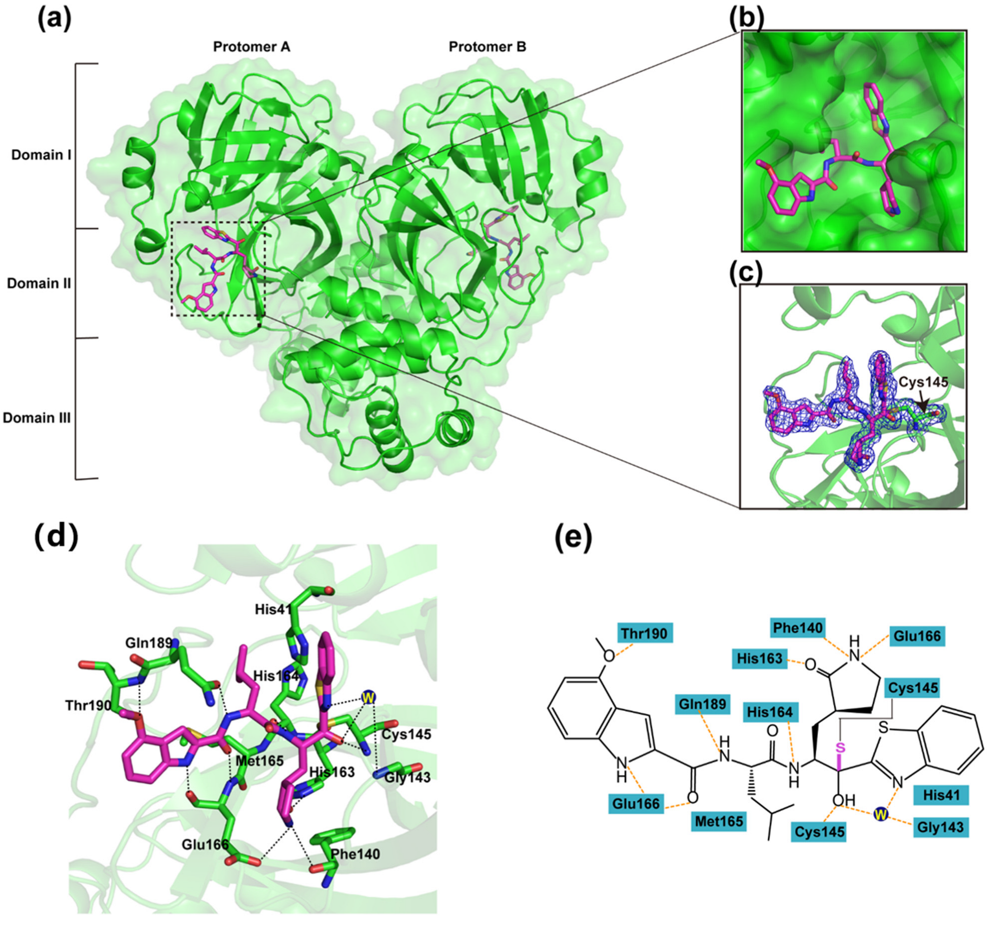 Viruses 14 02075 g002 Viruses 14 02075 g002