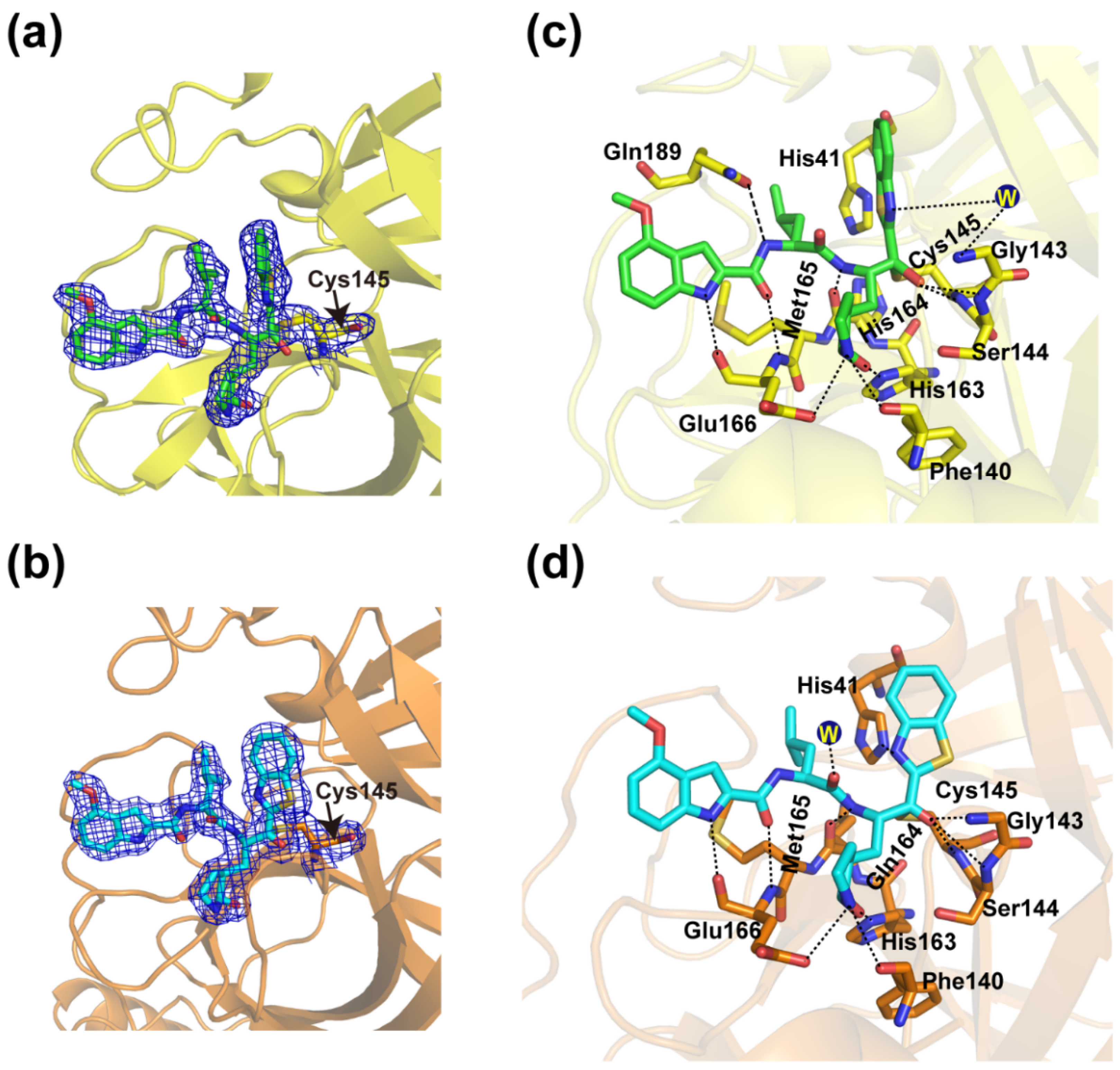Viruses 14 02075 g004 Viruses 14 02075 g004