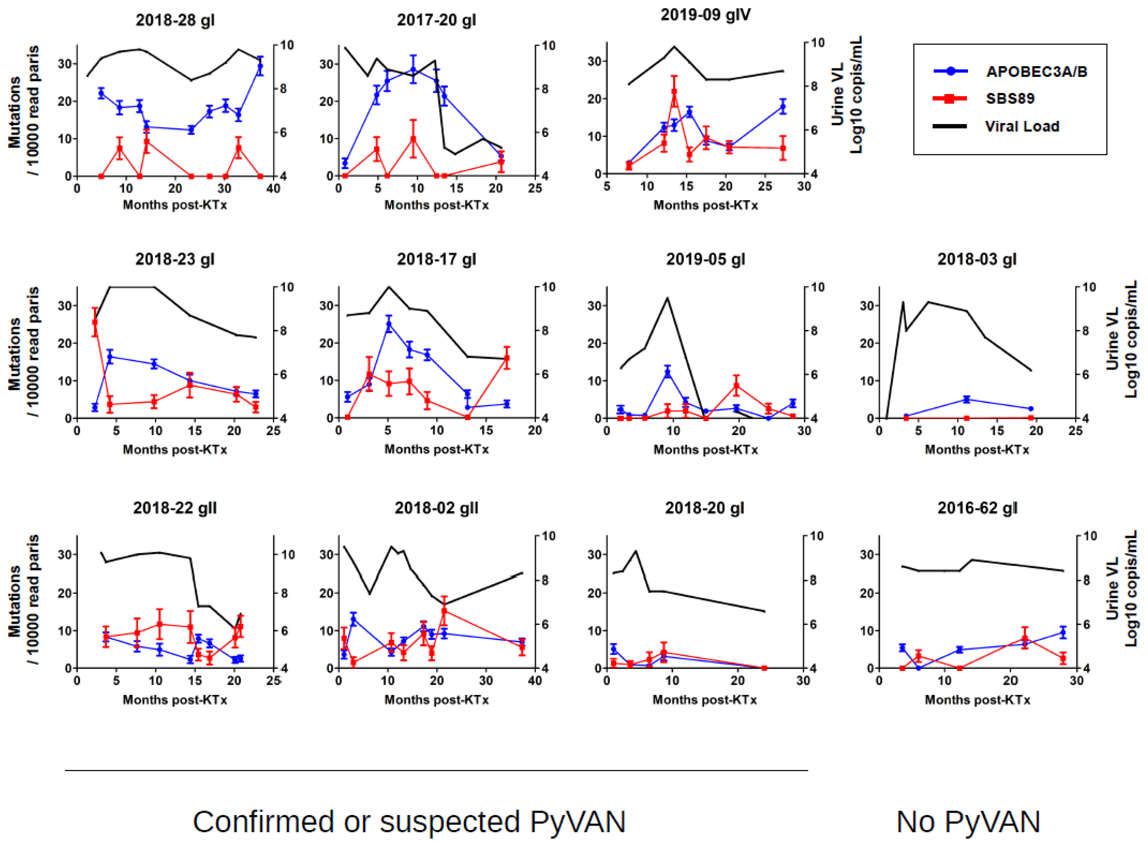 Viruses 14 02077 g004 Viruses 14 02077 g004