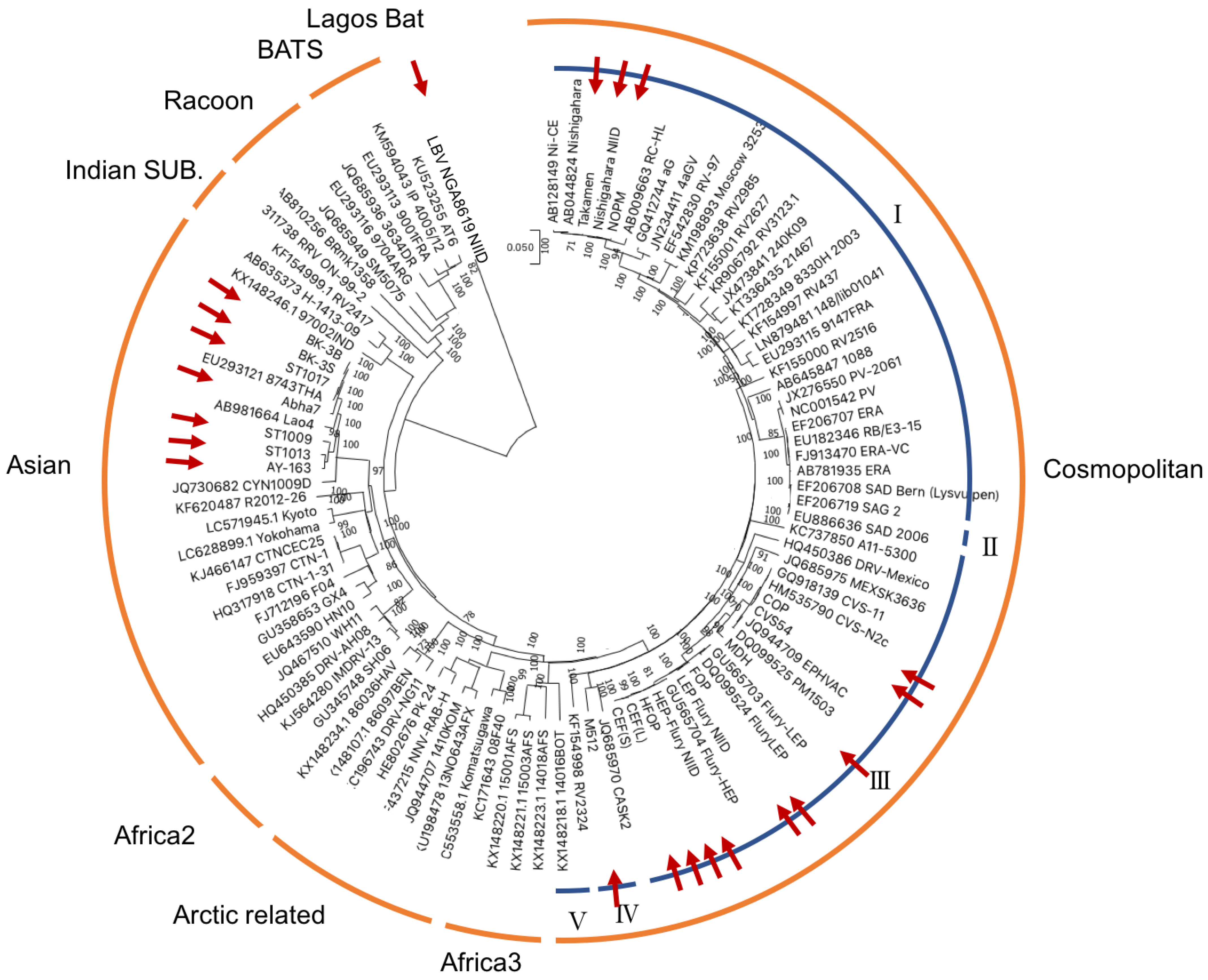 Viruses | Free Full-Text | Genetic Characterization of Human 