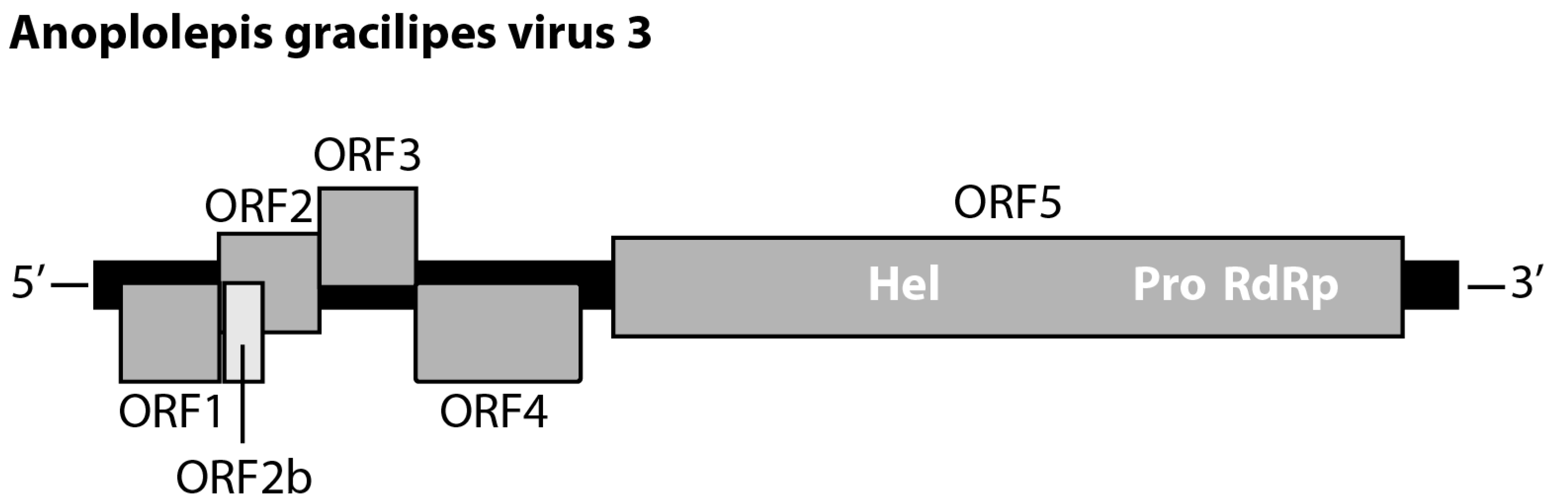 Viruses 14 02161 g001