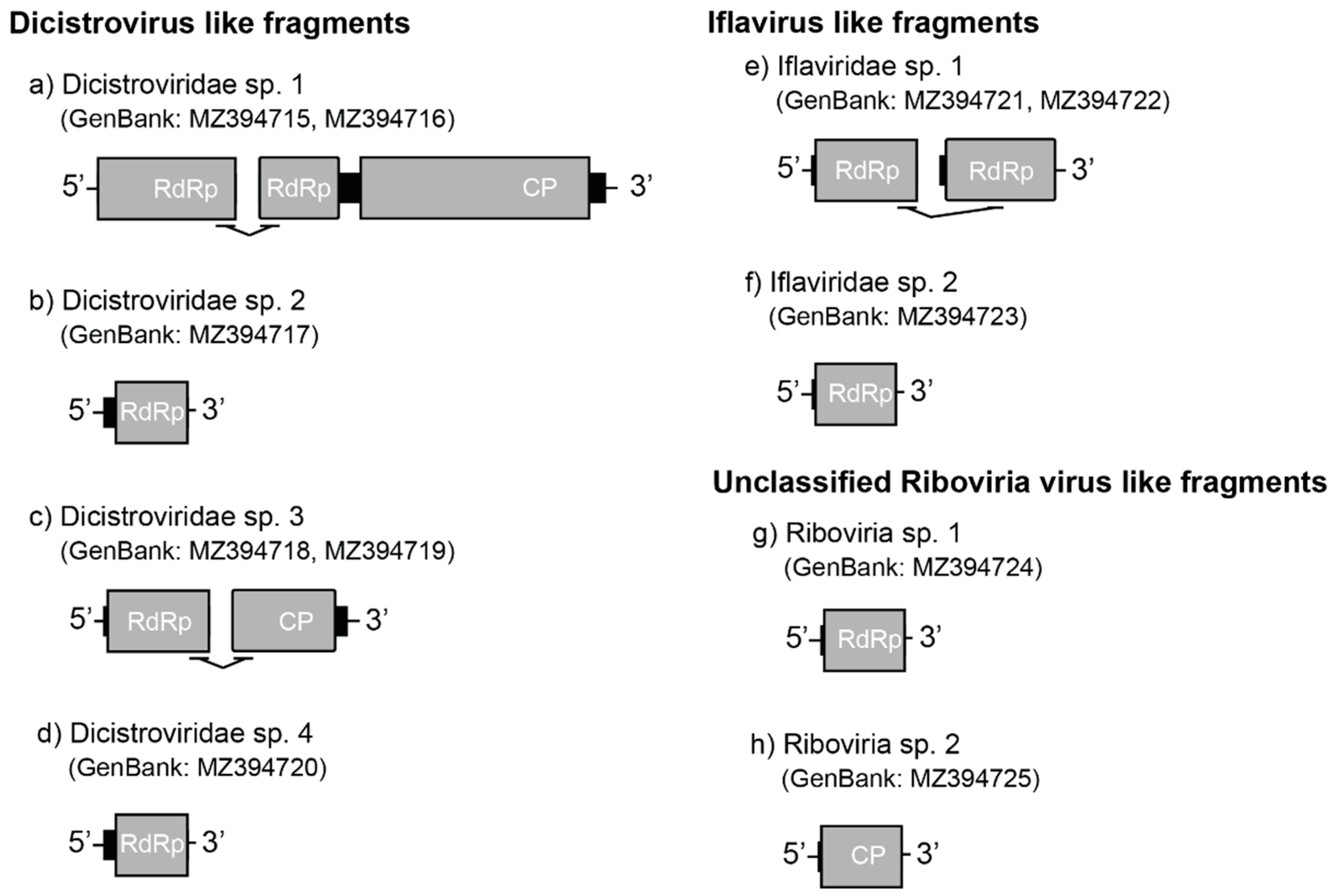 Viruses 14 02161 g002