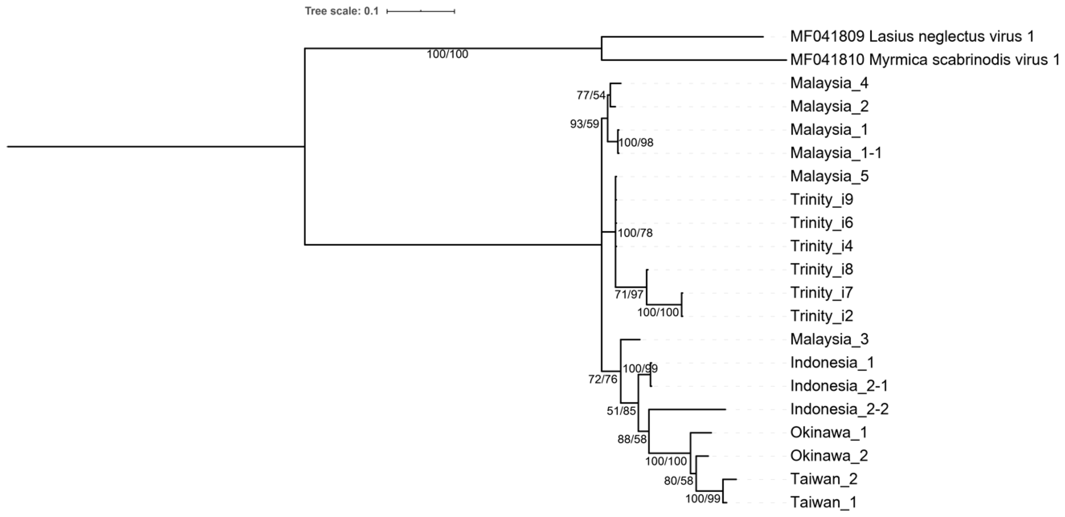 Viruses 14 02161 g004