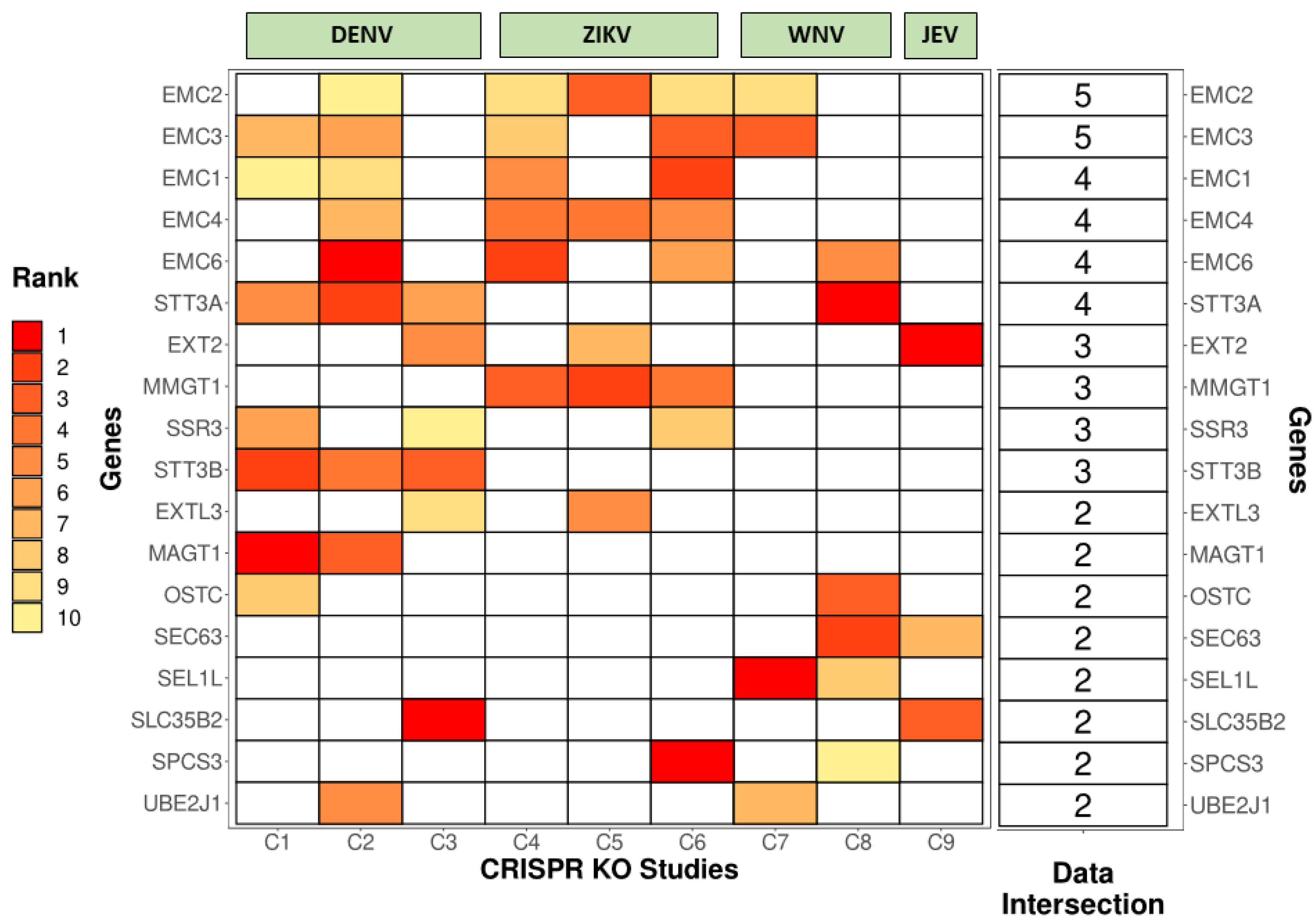 Viruses 14 02164 g002