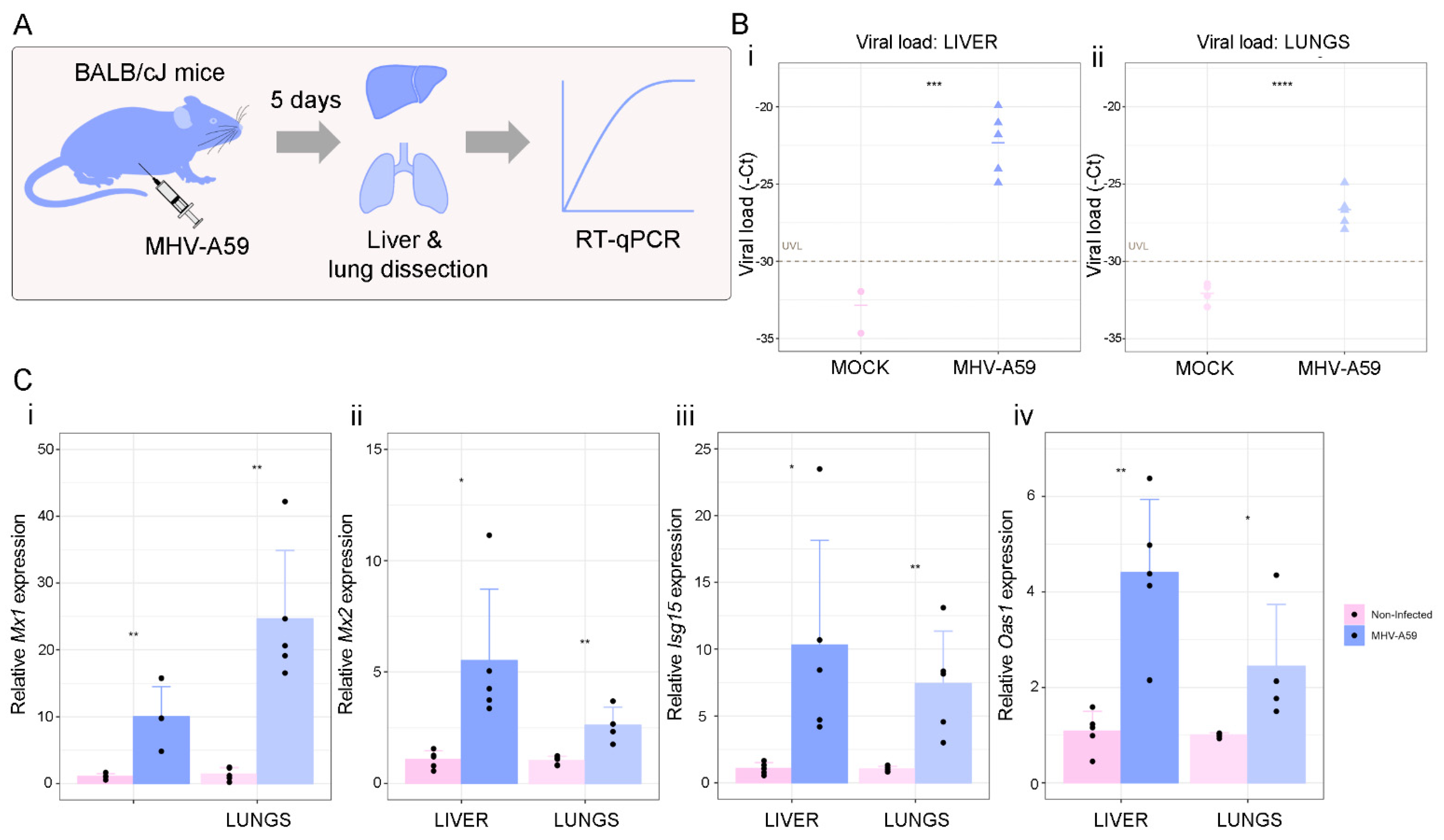 Viruses 14 02180 g006