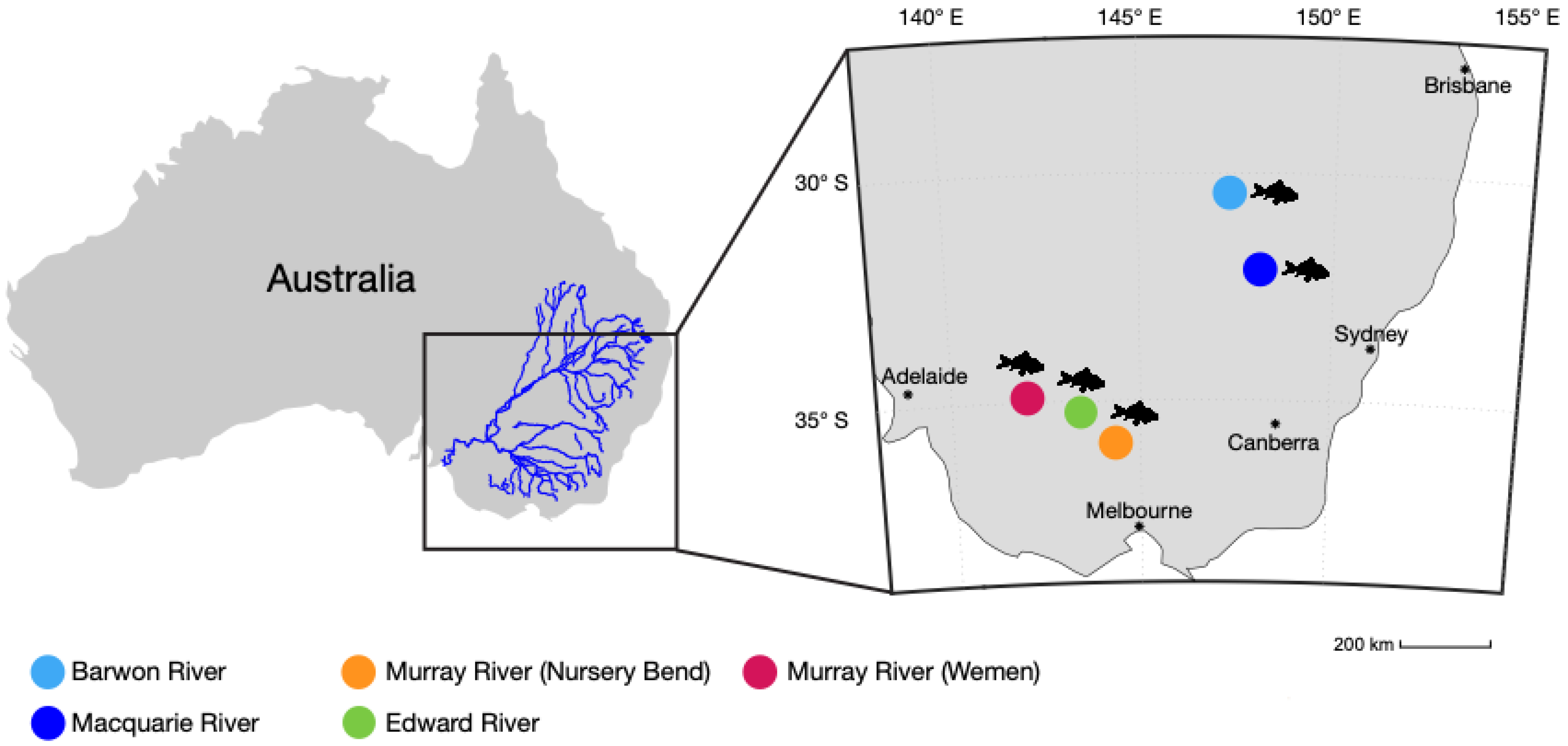 Viruses 14 02186 g002