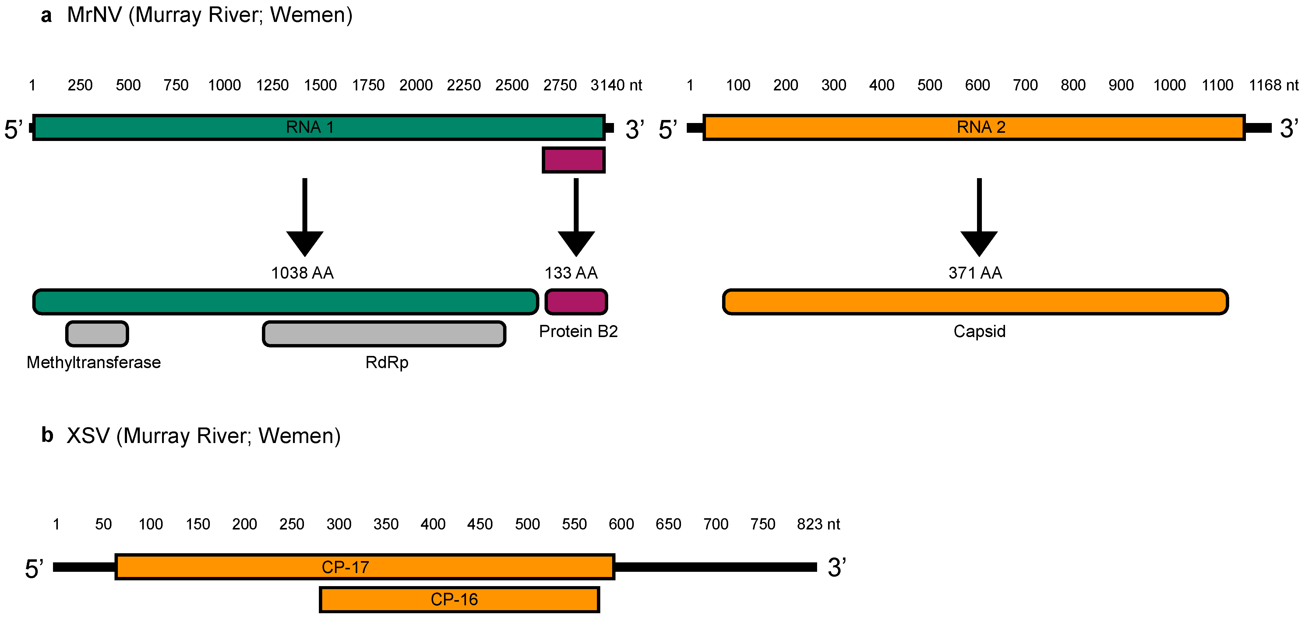 Viruses 14 02186 g003