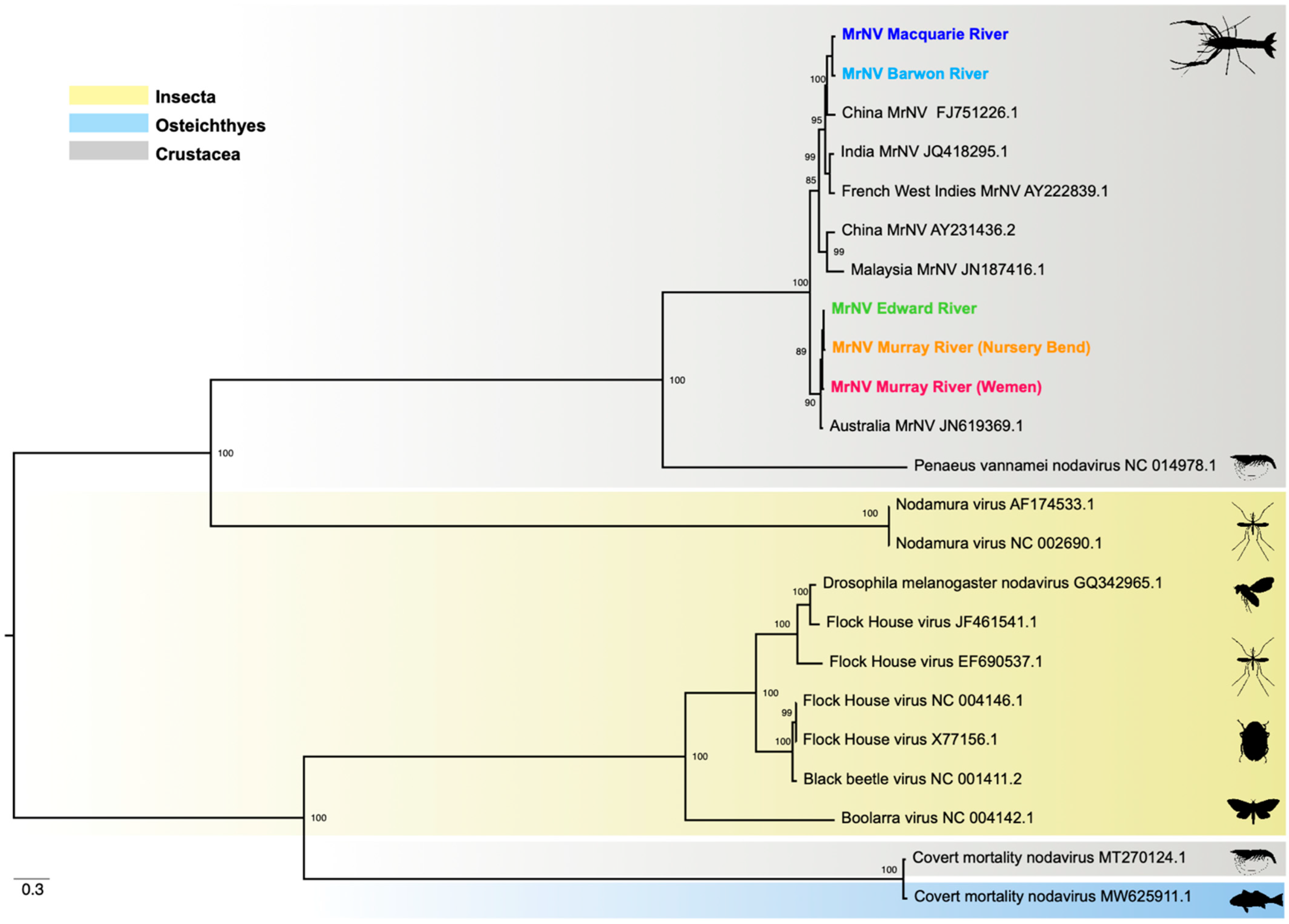 Viruses 14 02186 g004