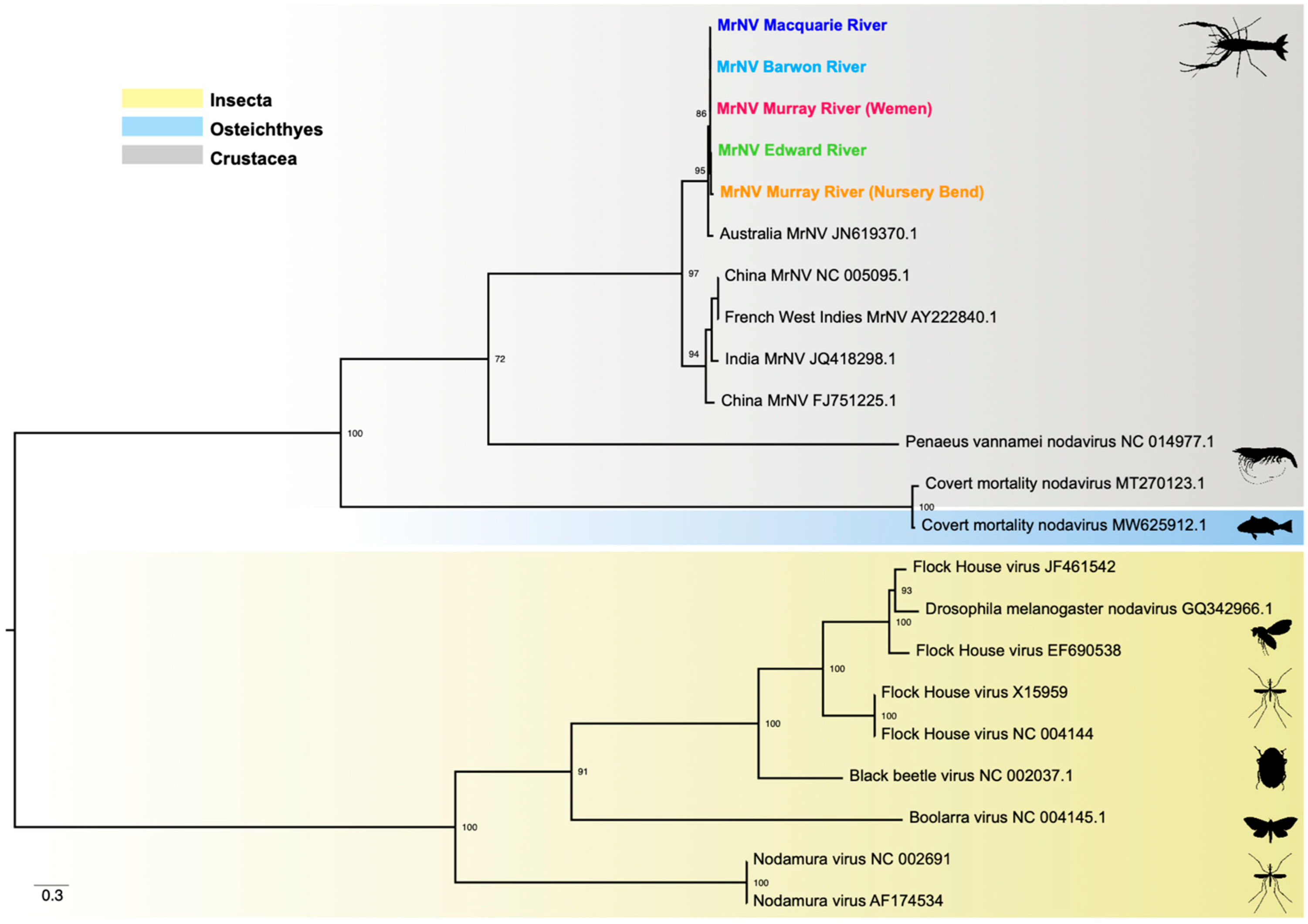 Viruses 14 02186 g005