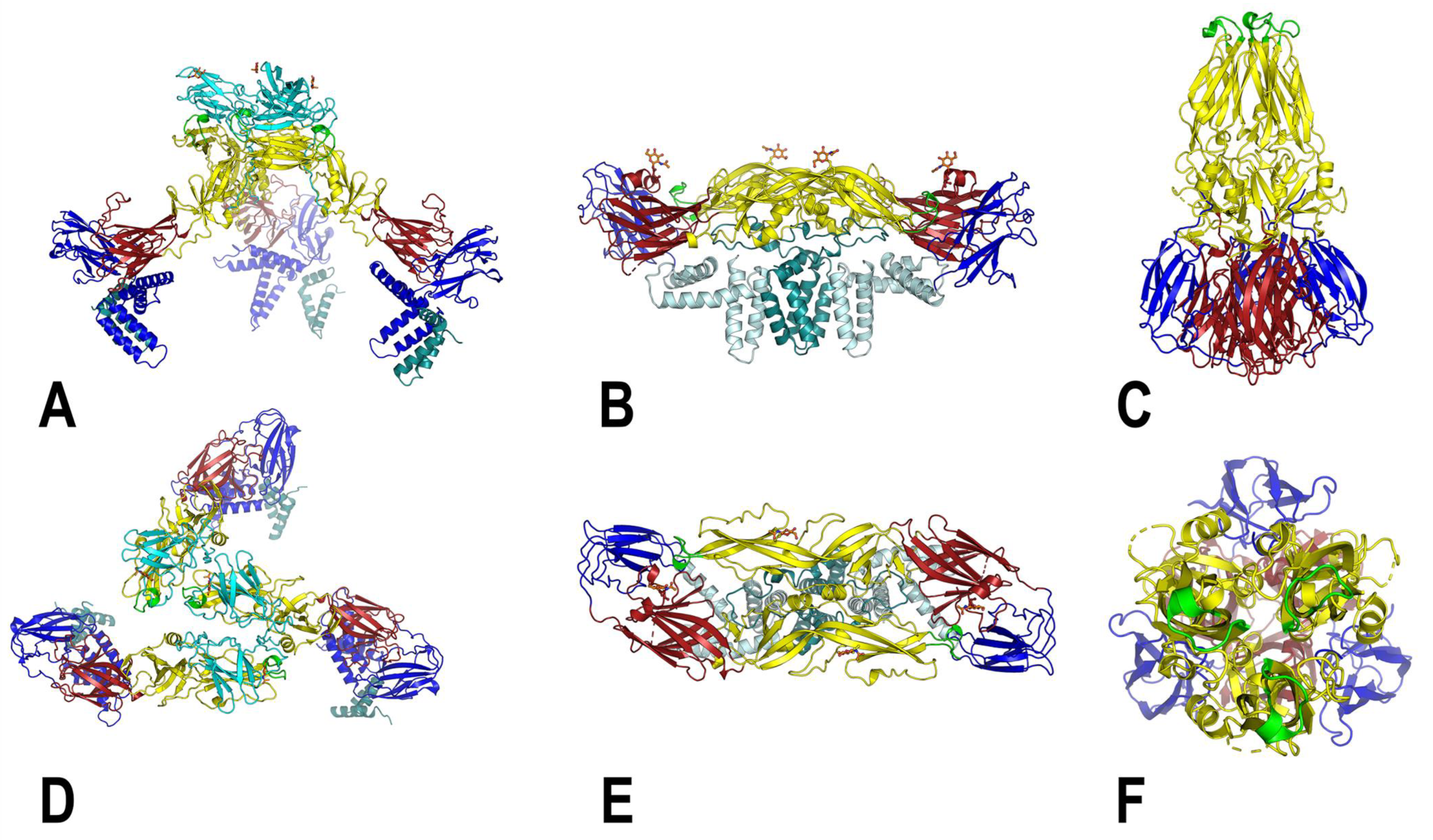 Viruses Free Full-Text The Japanese Encephalitis Antigenic Complex Viruses From Structure to Immunity image