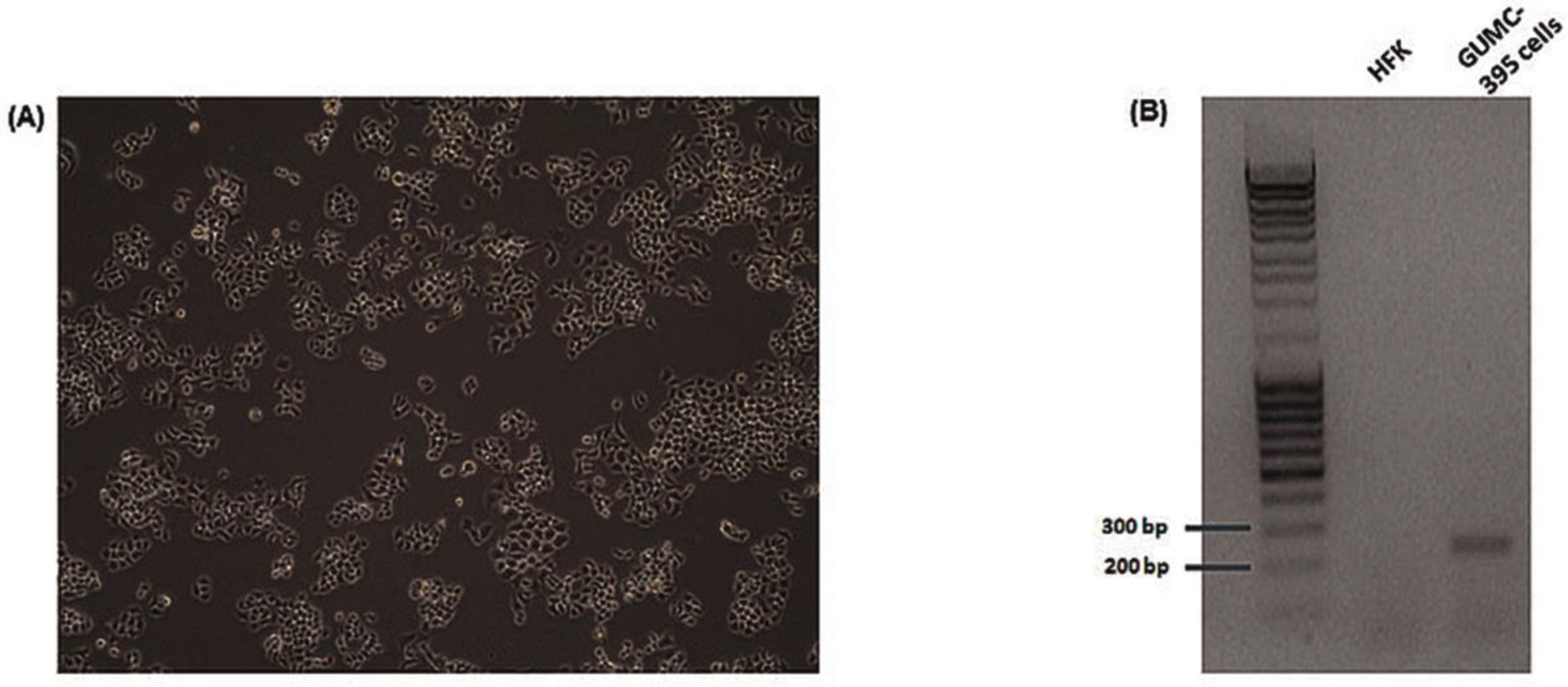 Viruses 14 02226 g001