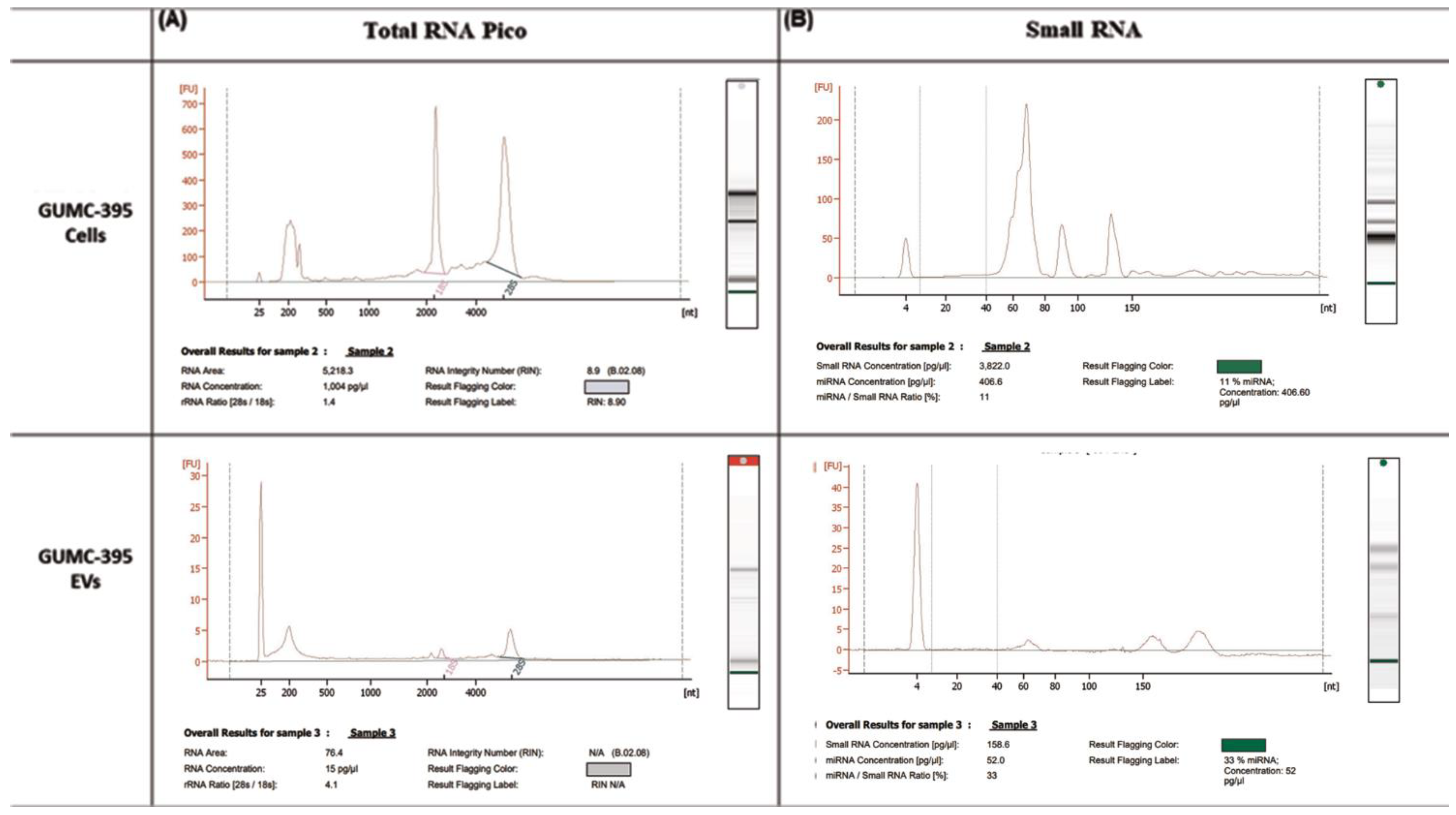 Viruses 14 02226 g003