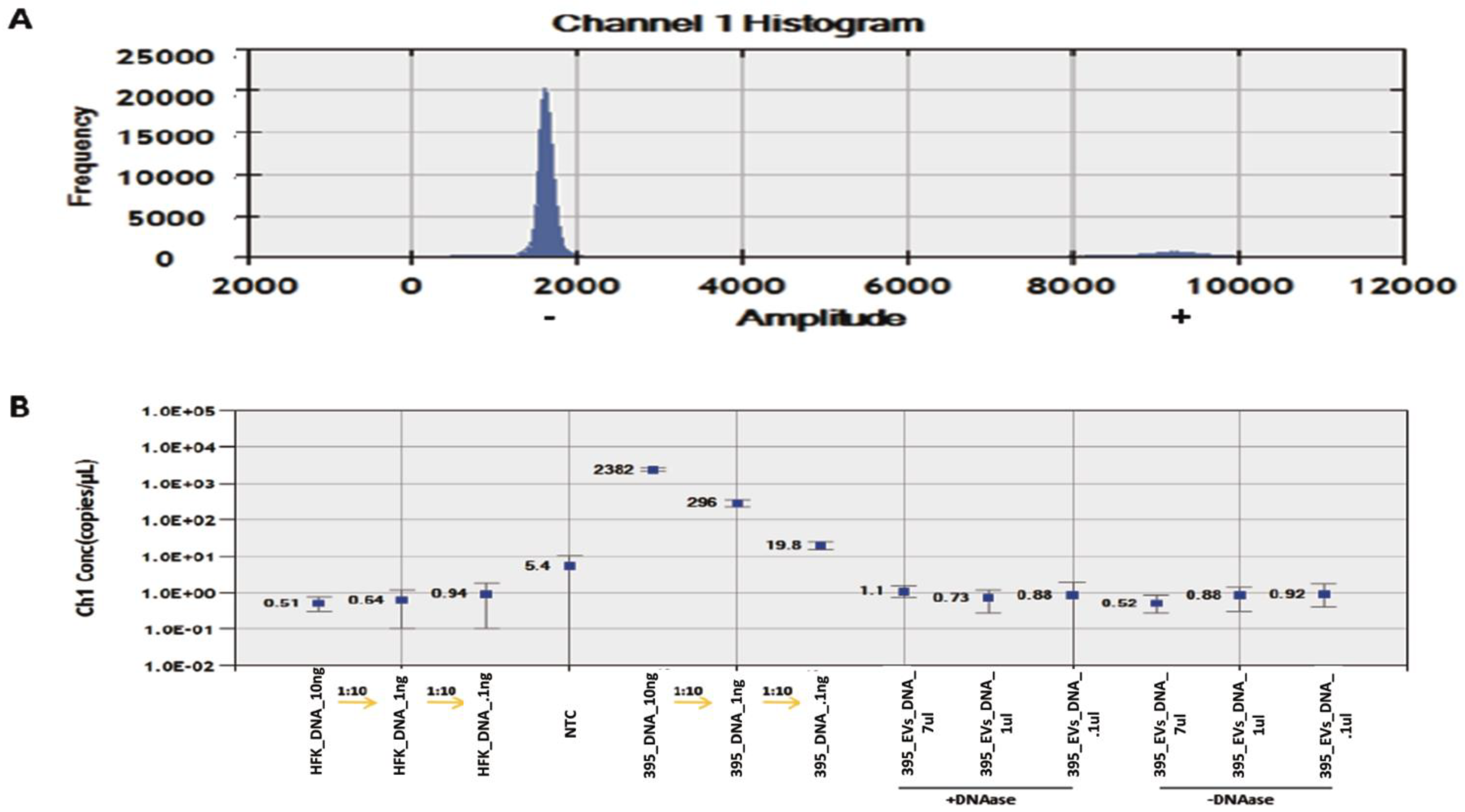 Viruses 14 02226 g004