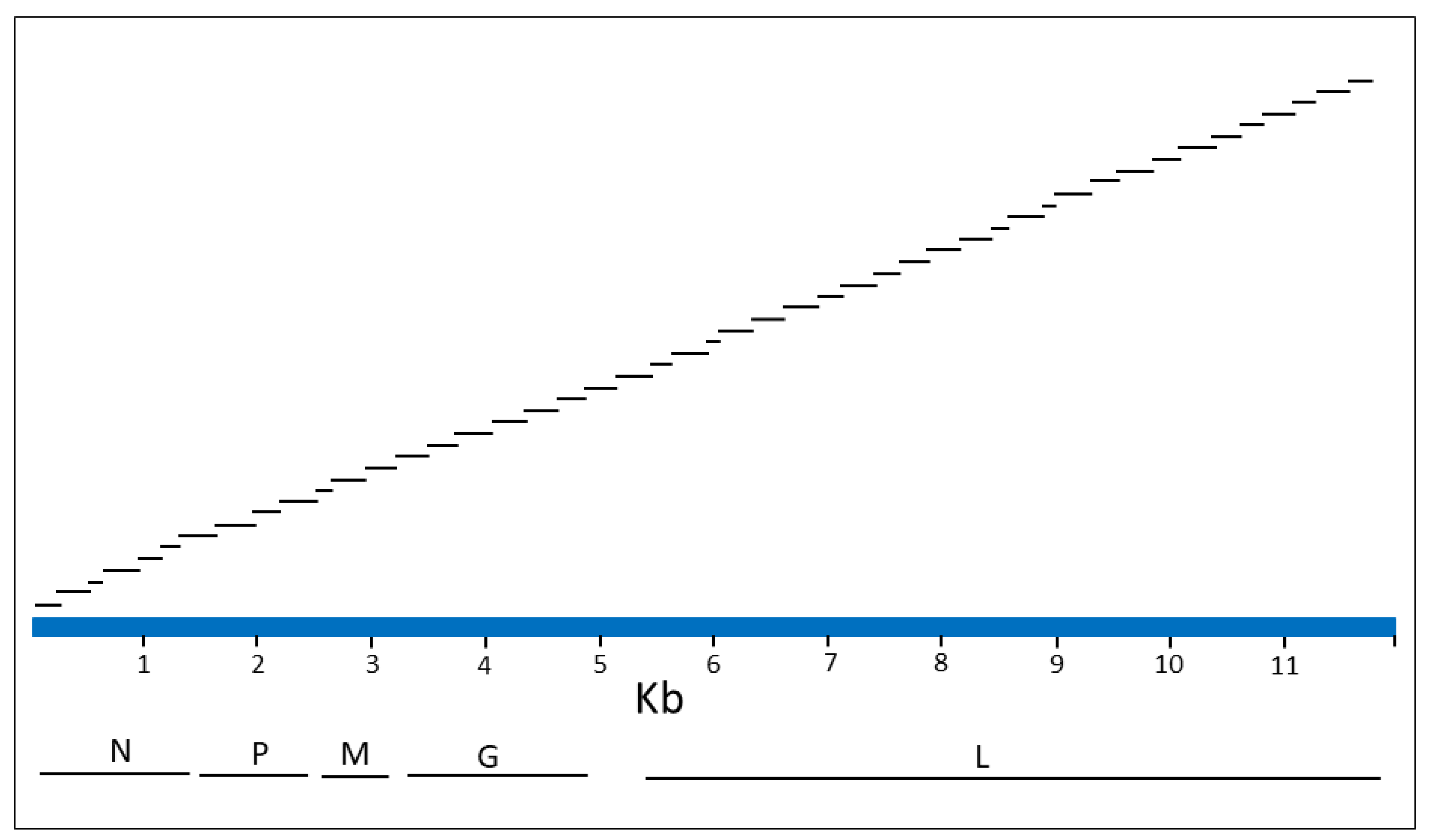 Viruses 14 02241 g001