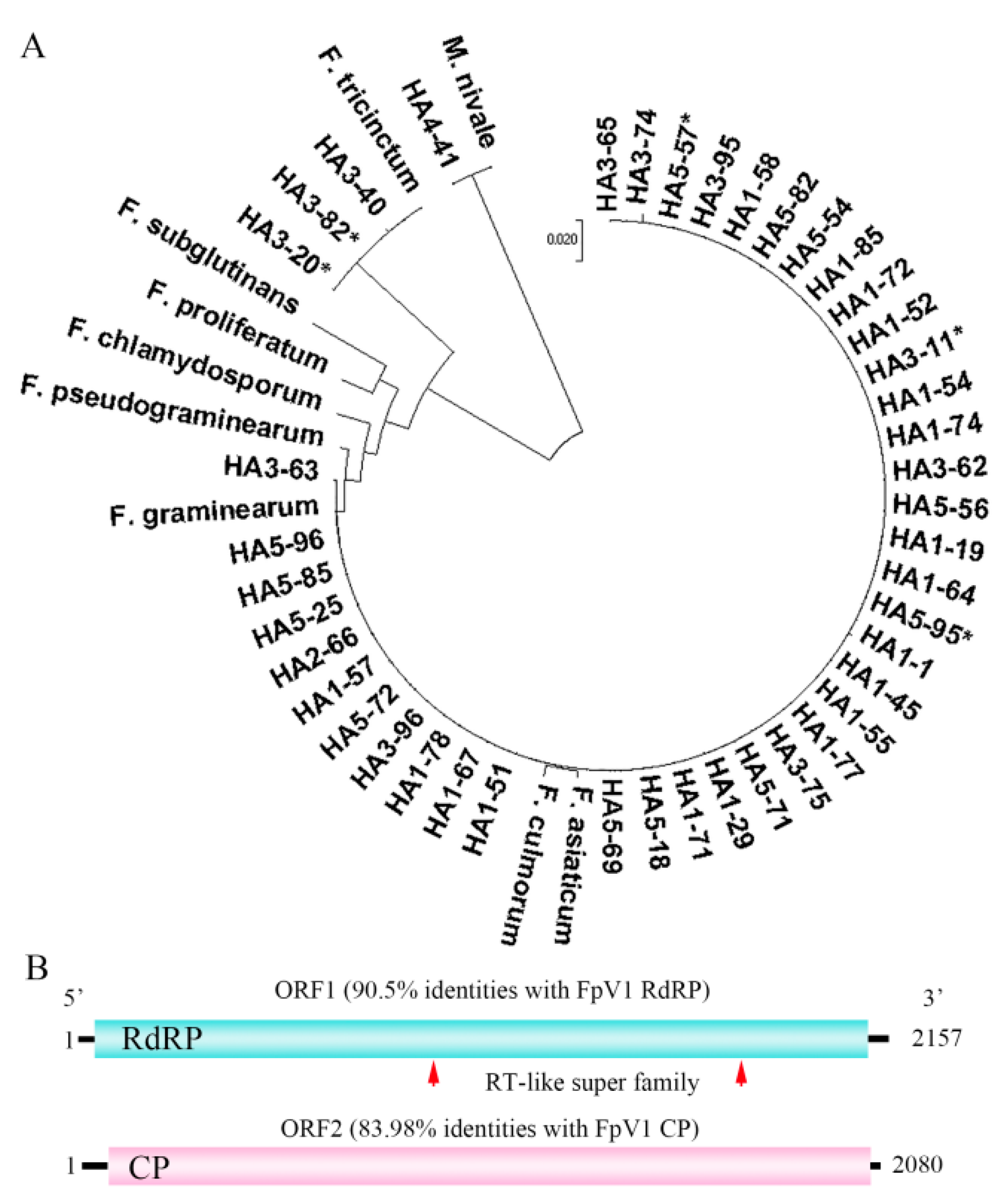 Viruses 14 02246 g001 Viruses 14 02246 g001