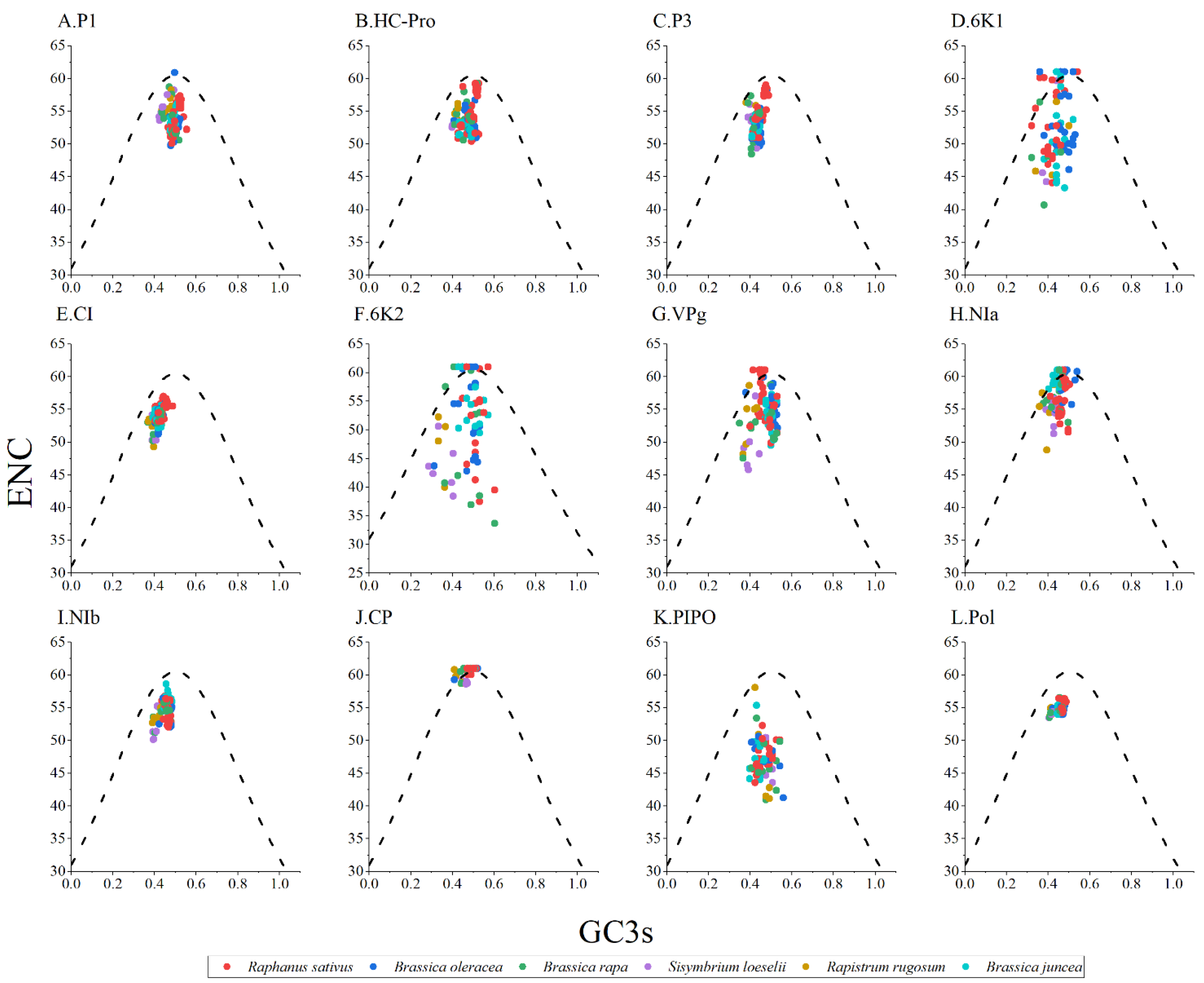 Viruses 14 02267 g003 Viruses 14 02267 g003