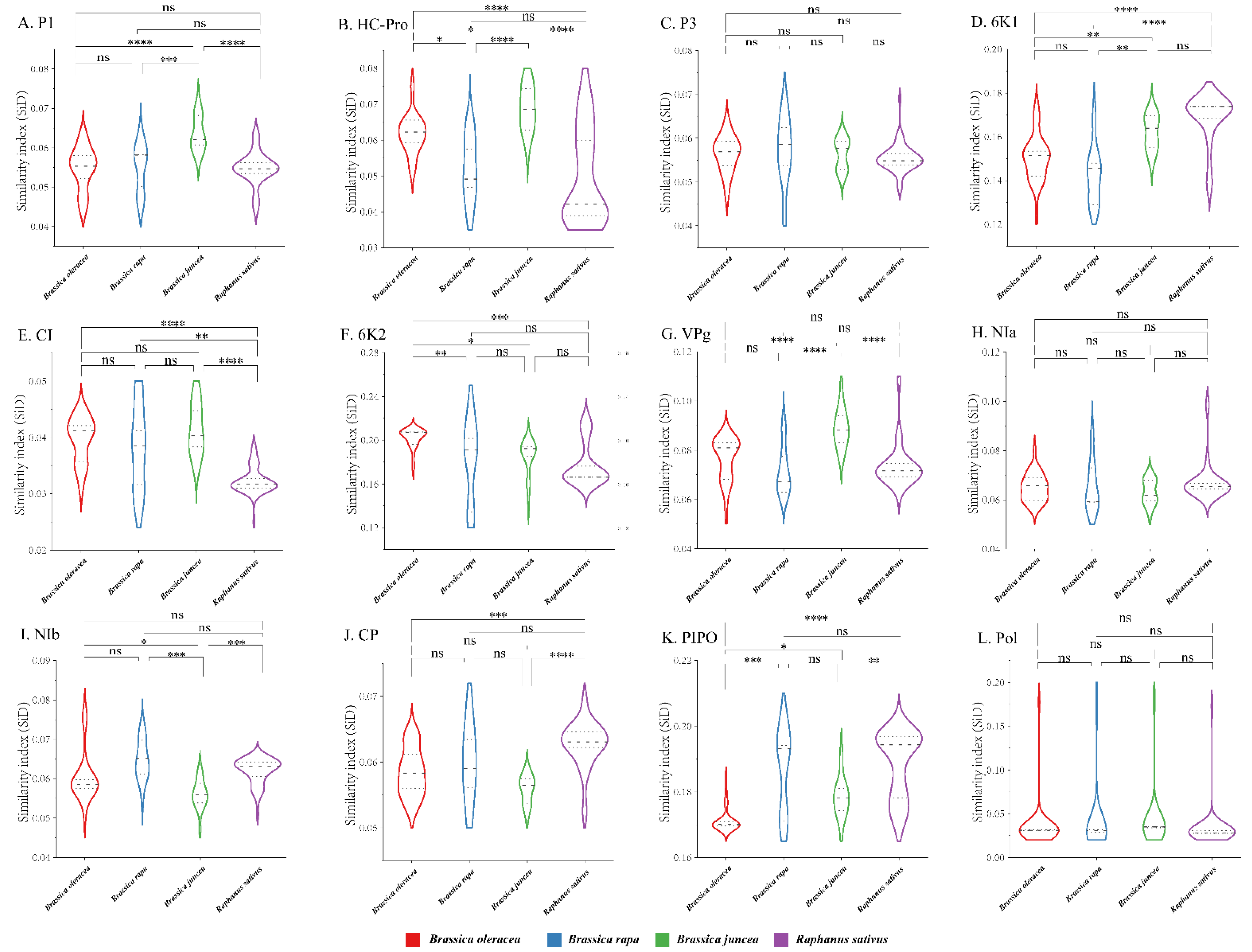 Viruses 14 02267 g007 Viruses 14 02267 g007