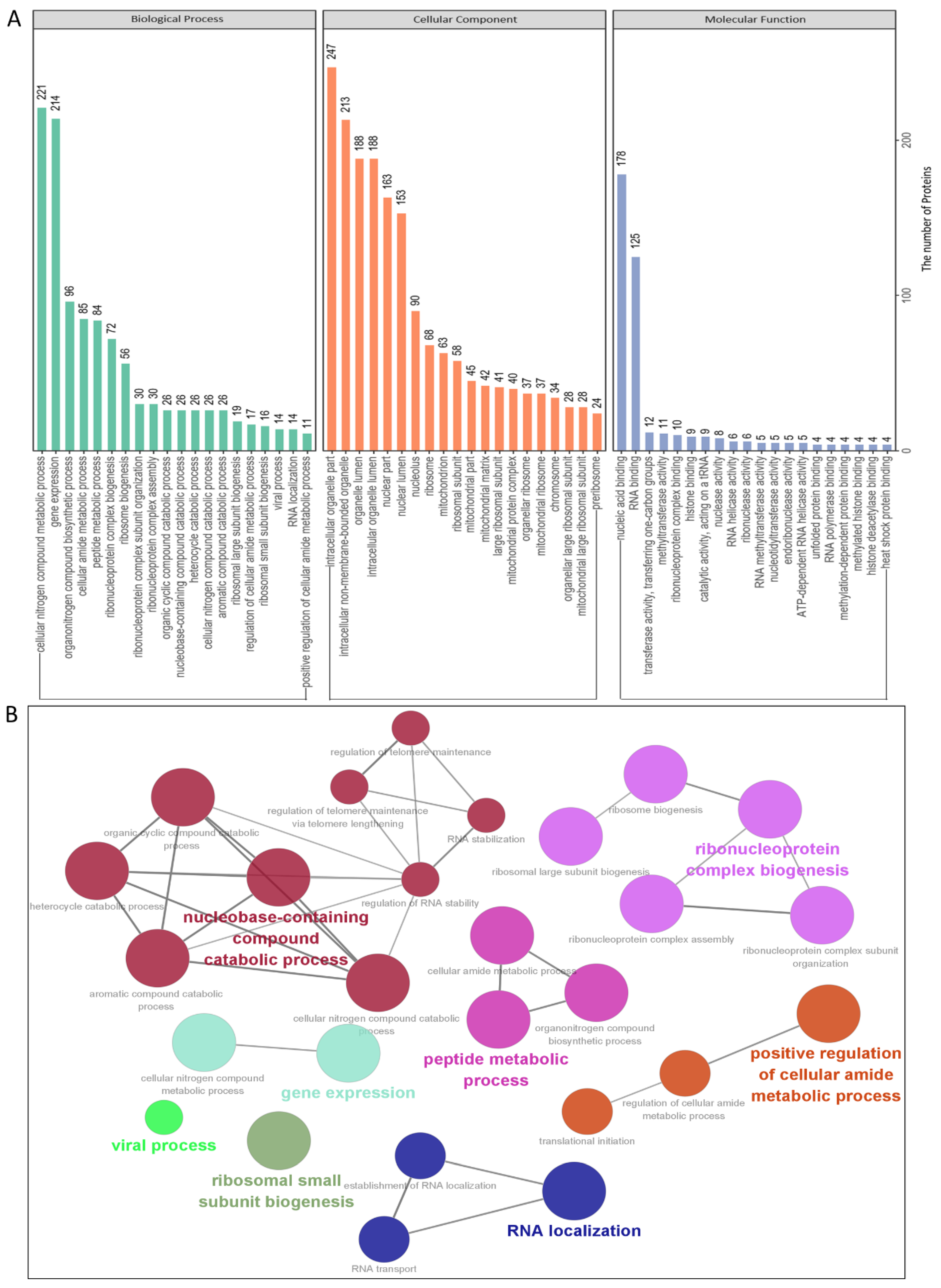 Viruses 14 02269 g003