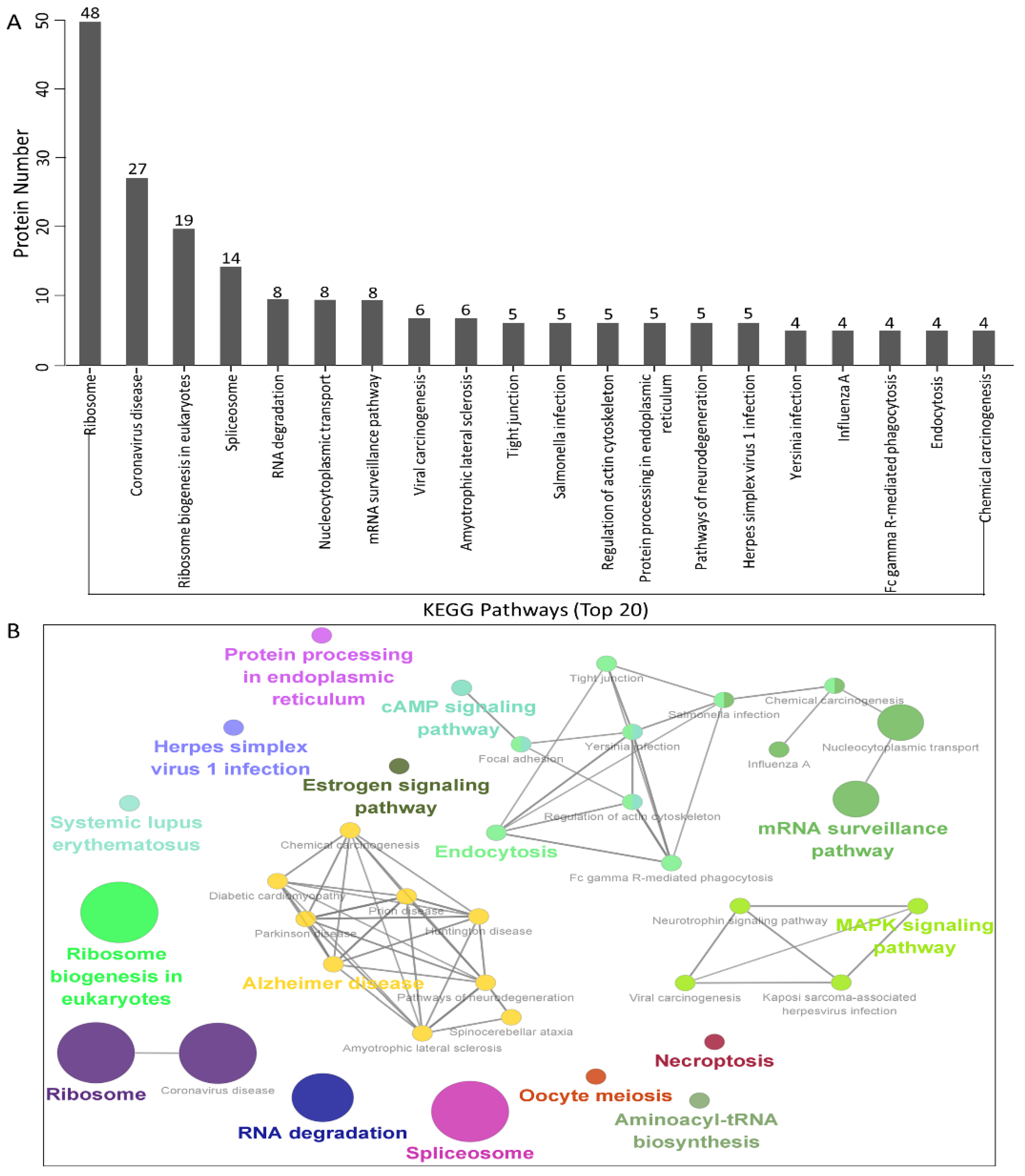 Viruses 14 02269 g004