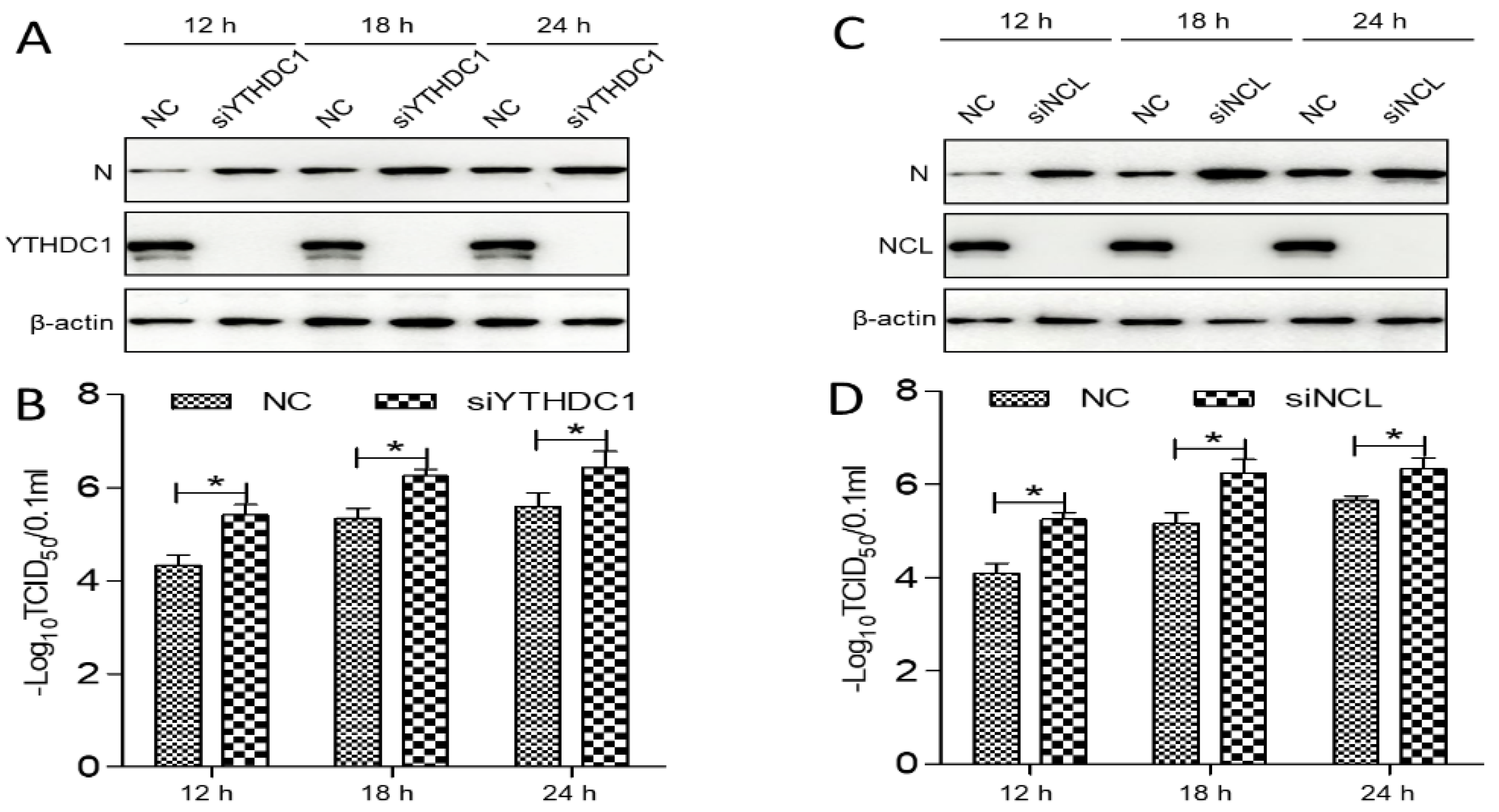 Viruses 14 02269 g007